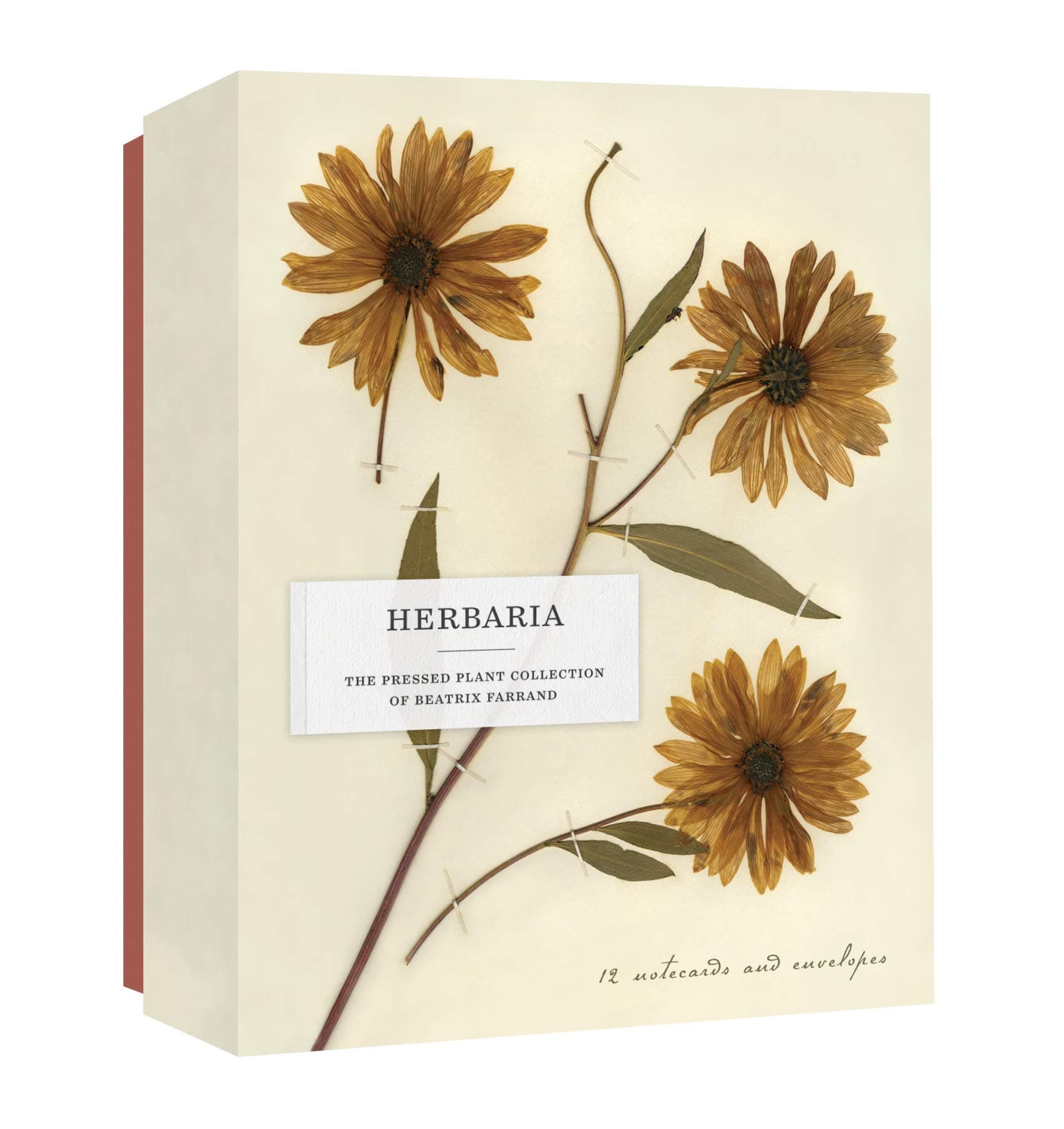 Herbaria: the Pressed Plant Collection of Beatrix Farrand: Notecards and Envelopes Cards – 25 February 2020