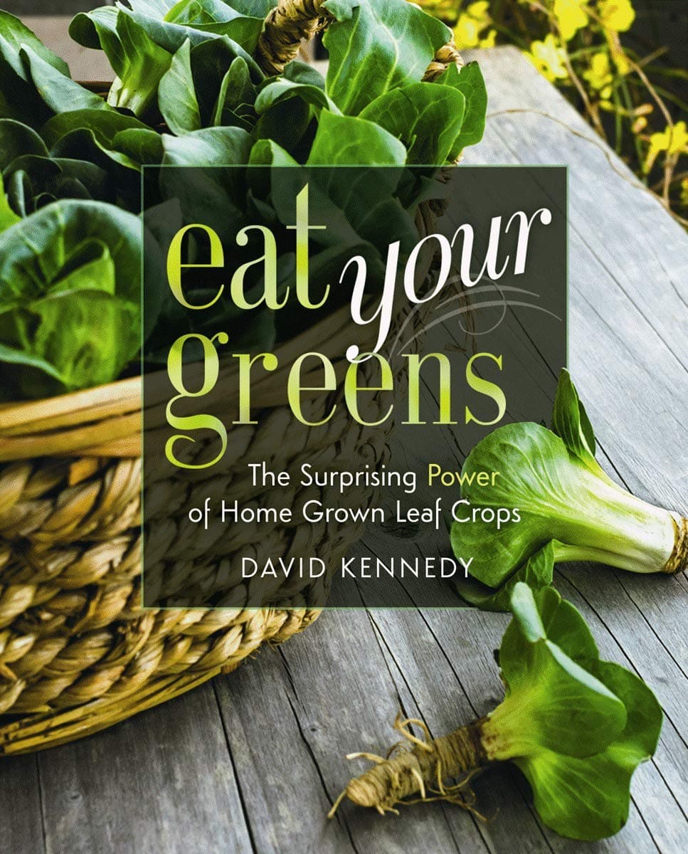 Eat Your Greens: The Surprising Power of Homegrown Leaf Crops