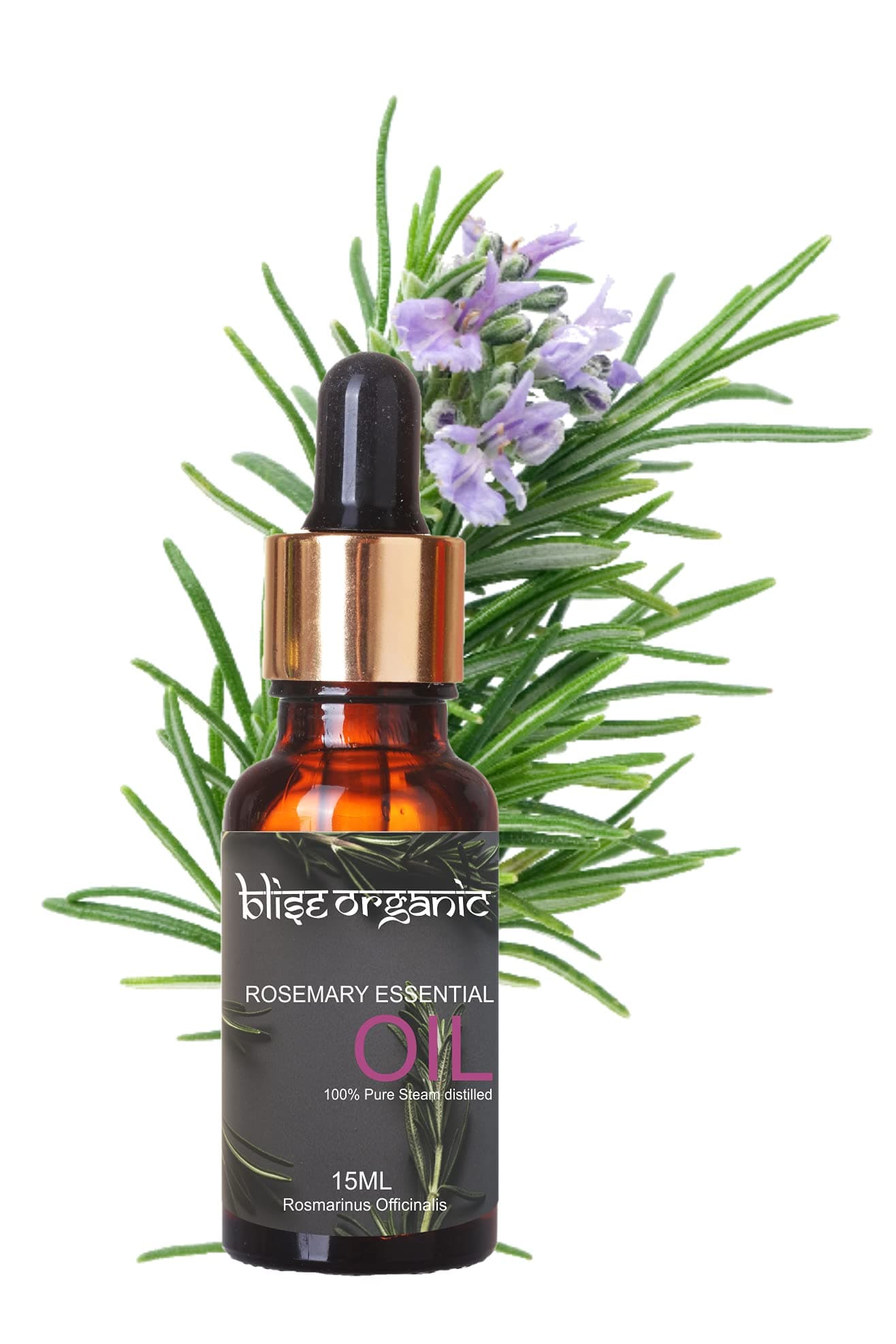 Rosemary Essential Oil -100% Pure and Naturals, For Hair fall control and Growth, Clinically Tested and Soil to Oil Certified, Stenghtens Overall Hair Health