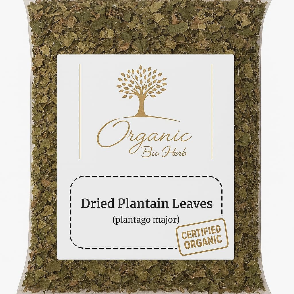 Premium Dried Plantain Leaves – Natural Herbal Tea & Wellness Support, Whole Cut & Sun-Dried (Plantago major) 6 Oz.