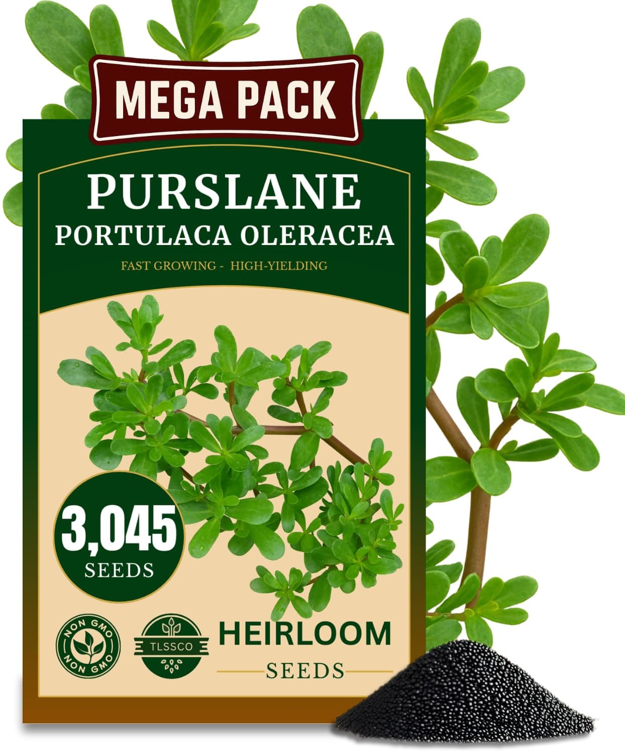 3000+ Green Purslane Seeds for Planting, Non-GMO Seeds – Fast-Growing, Authentic Flavor – High-Yielding, Heirloom