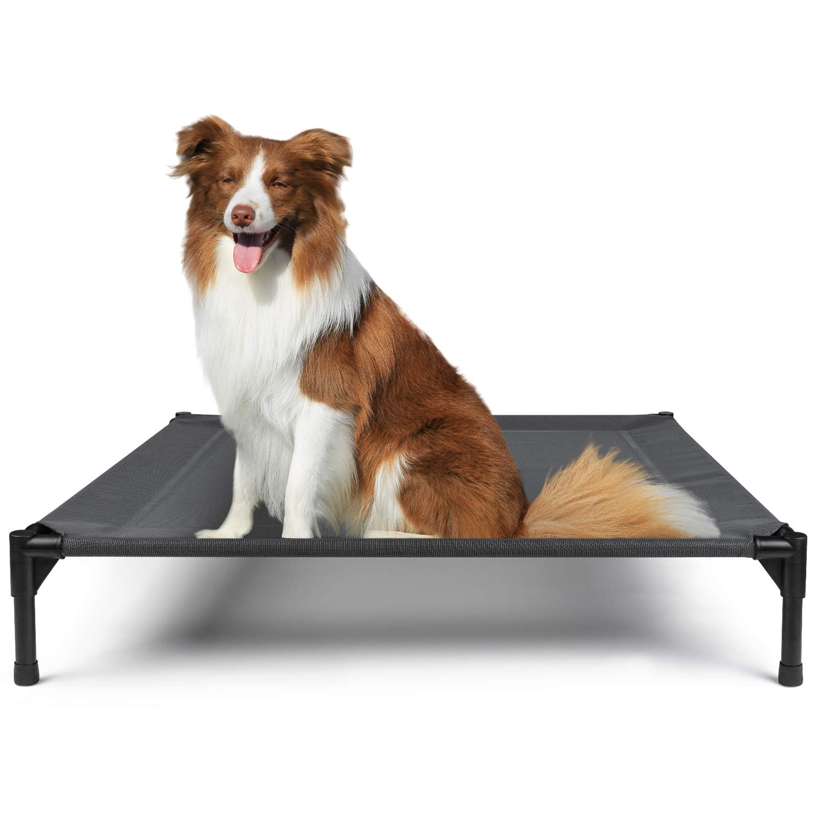 Pets Summer Outdoor Bed for Cats and Dogs
