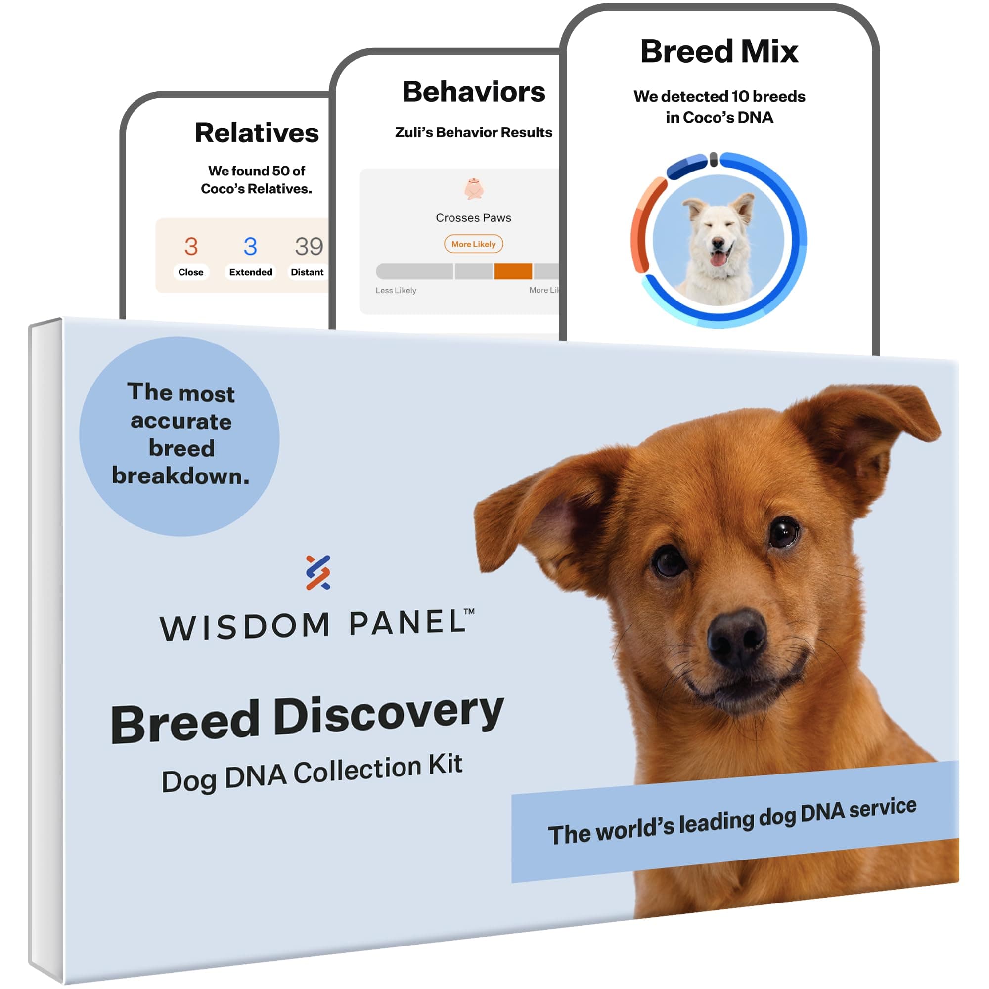 Panel Breed Discovery Dog DNA Kit: Most Accurate Dog Breed Identification, Test for 365+ Breeds, MDR1 Health Test, Ancestry, Relatives
