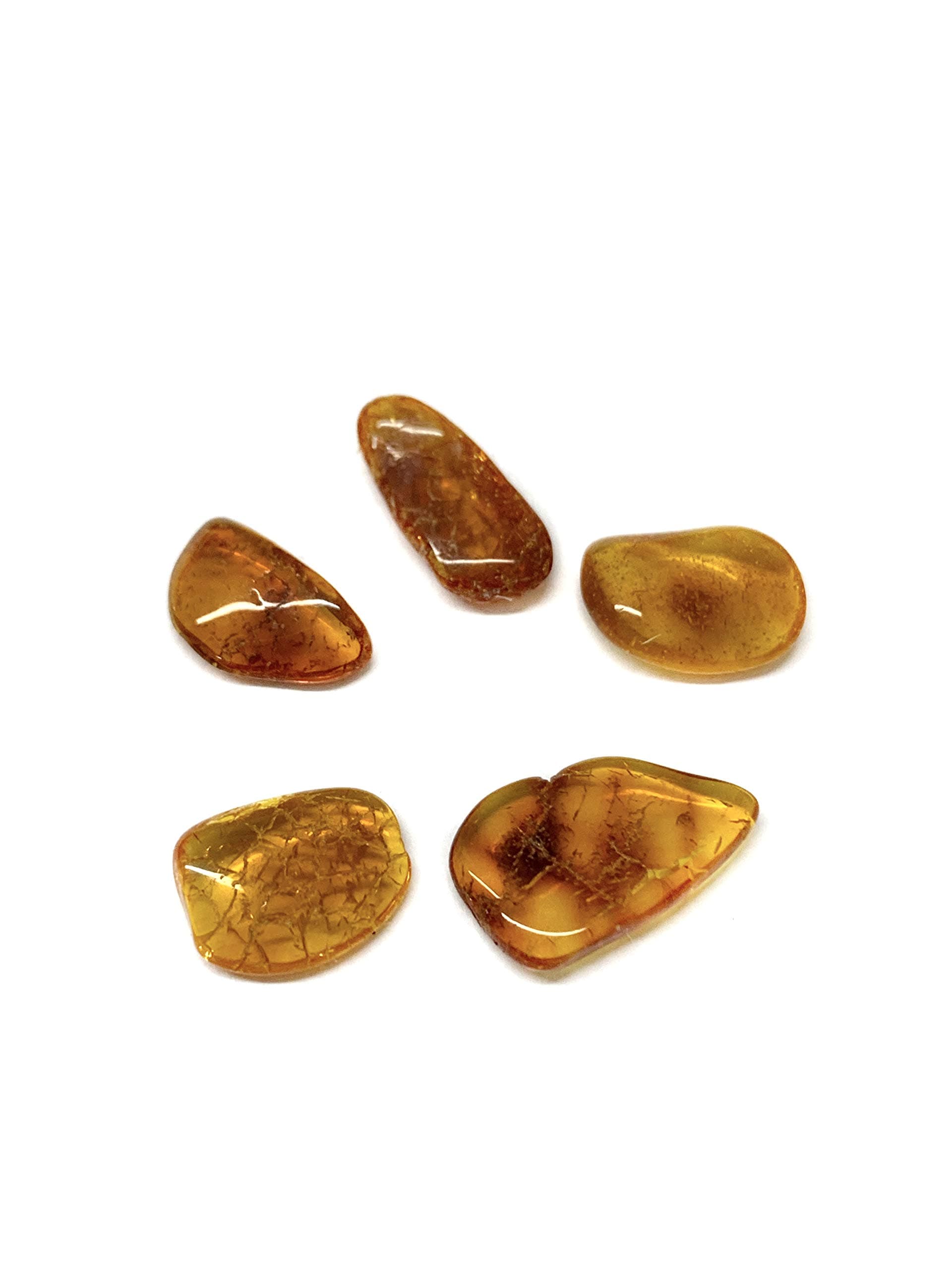 Natural Baltic Amber stones Set of 5