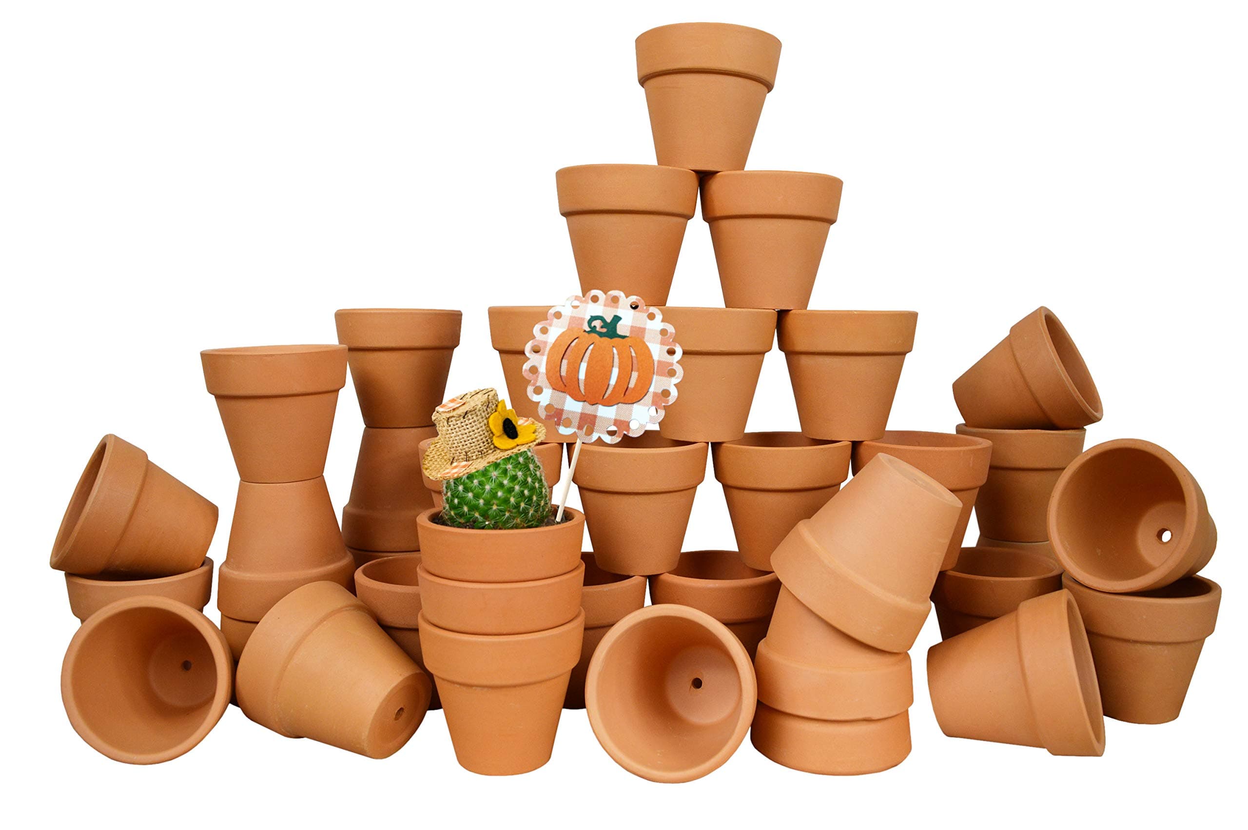 My Urban Crafts 40 Pcs Small Mini Clay Pots 2.1 inch Mini Terracotta Pots Clay Ceramic Pottery Planter Cactus Flower Pots Succulent Nursery Pots for Indoor/Outdoor Mini Plant, Crafts, Wedding Favors