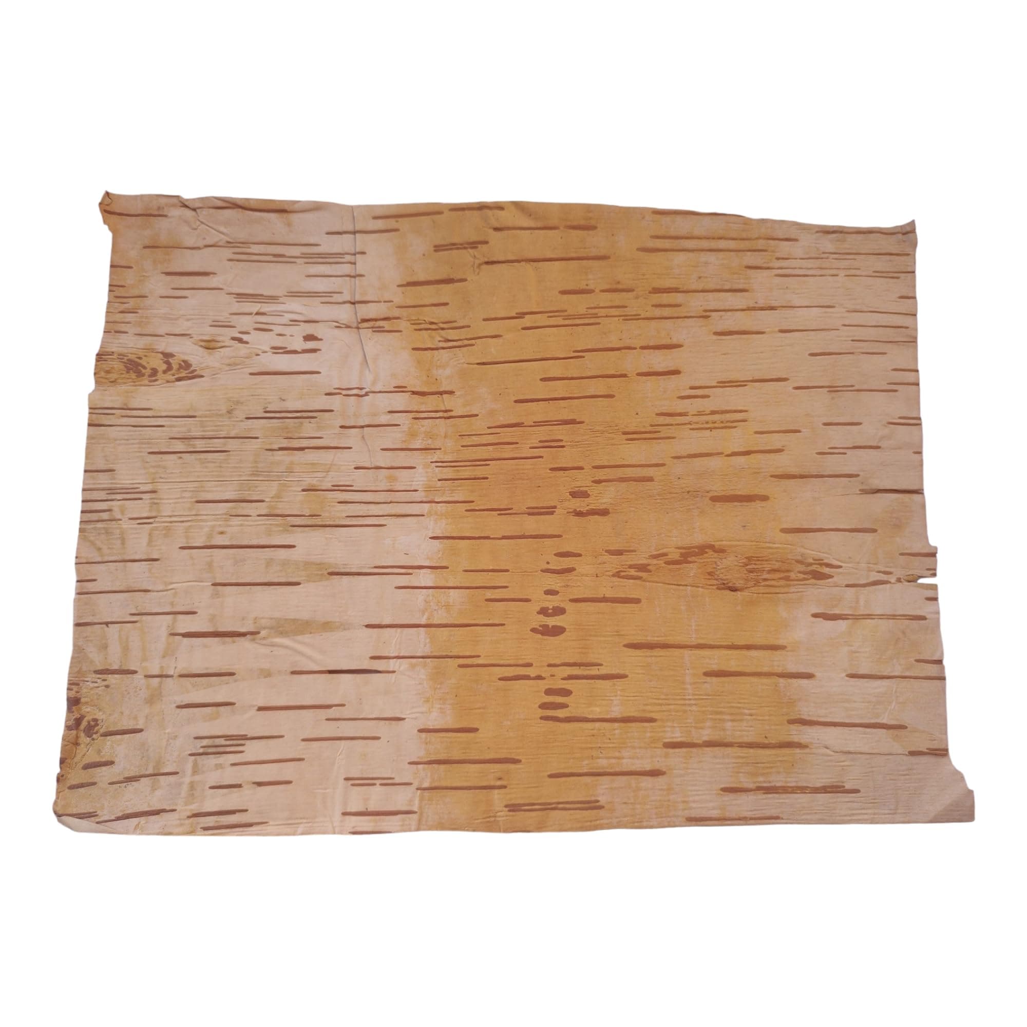 Bhojpatra 12 PCS Betula Birch Bark Sheets for Writing Sacred Mantras 4 x 6 Inch Small Paper Yantra