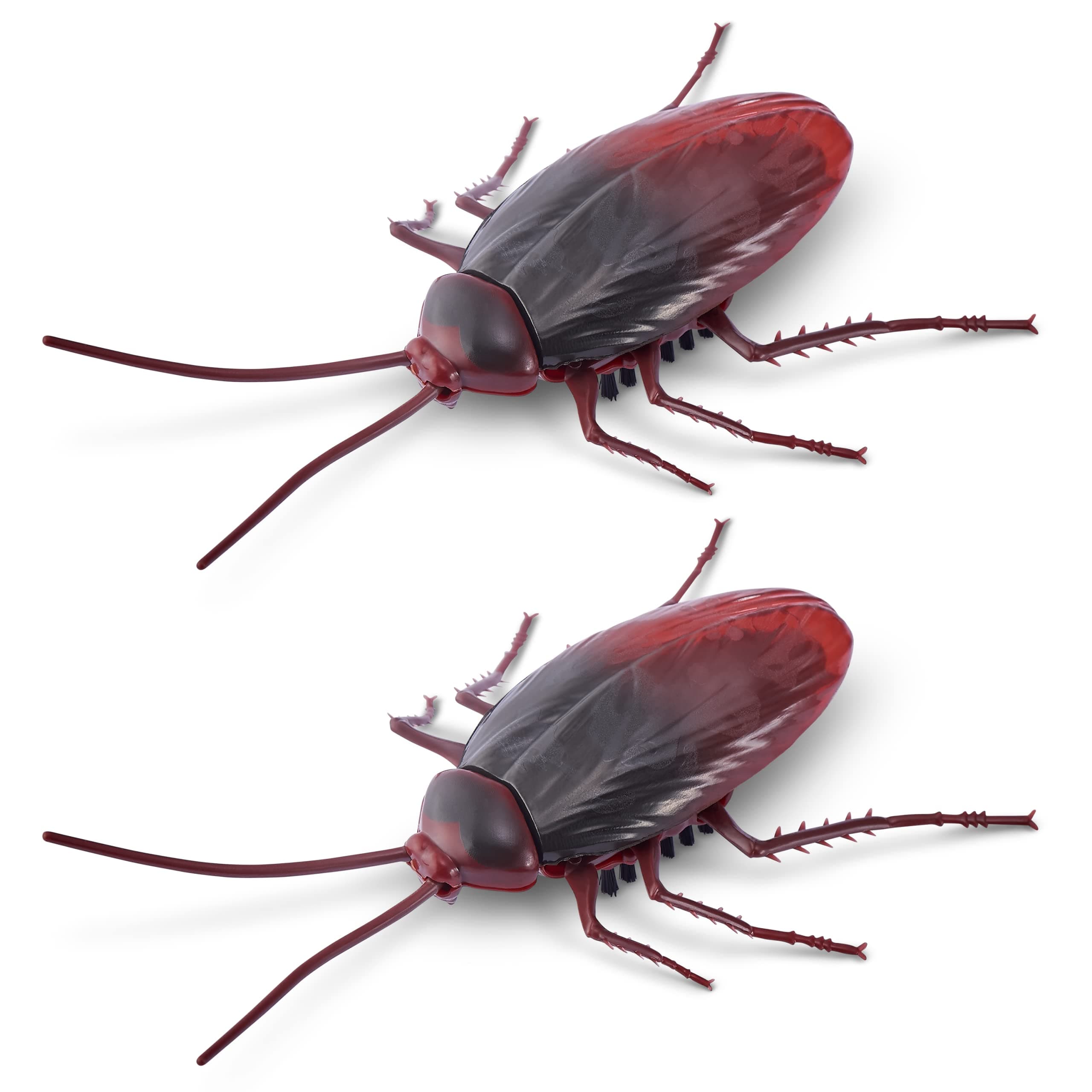 Crawling Cockroach Glow in The Dark (2 Pack) by ZURU Battery-Powered Robotic Interactive Electronic Cockroach Toy That Moves and Crawls, Prankst Toys for Boys, Kids, Teens