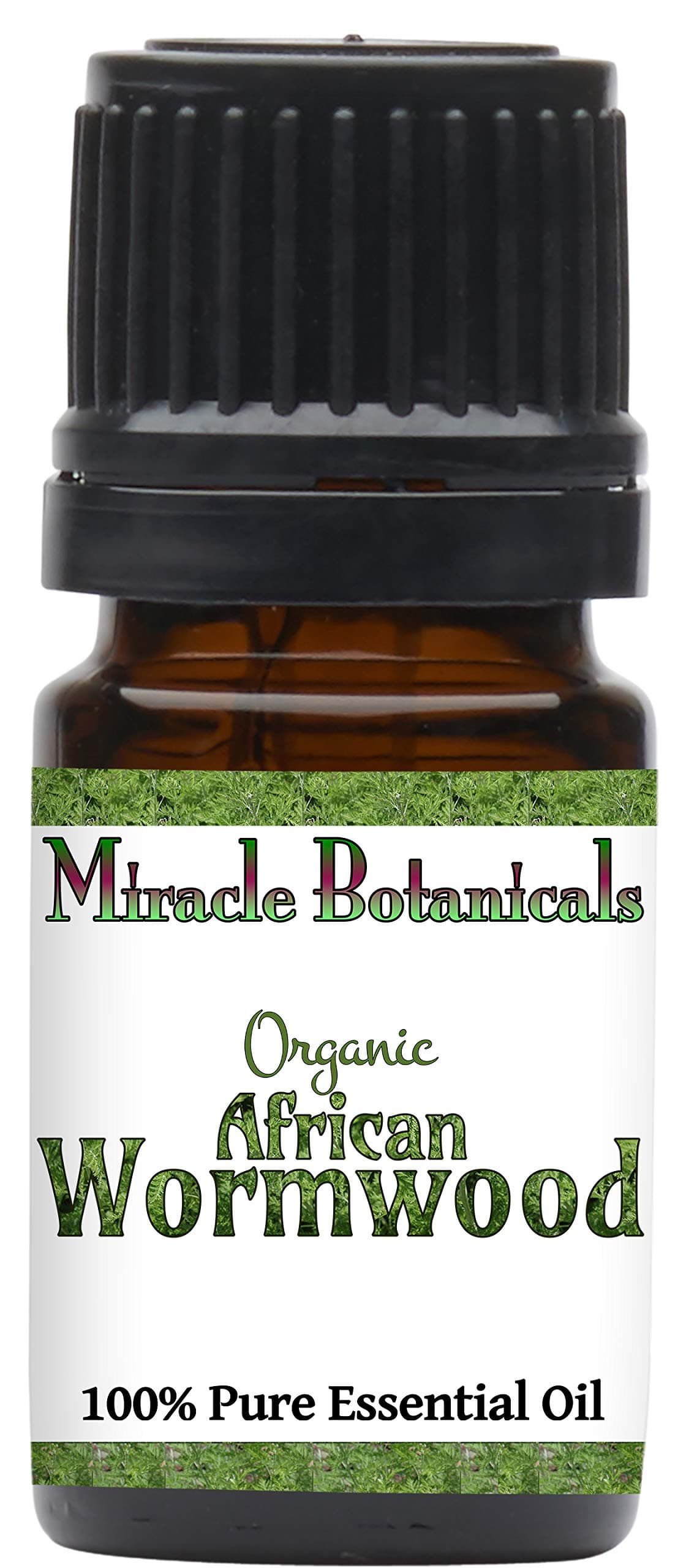 Miracle Botanicals Organic African Wormwood Essential Oil - 100% Pure Artemisia Afra - Therapeutic Grade (5ML)