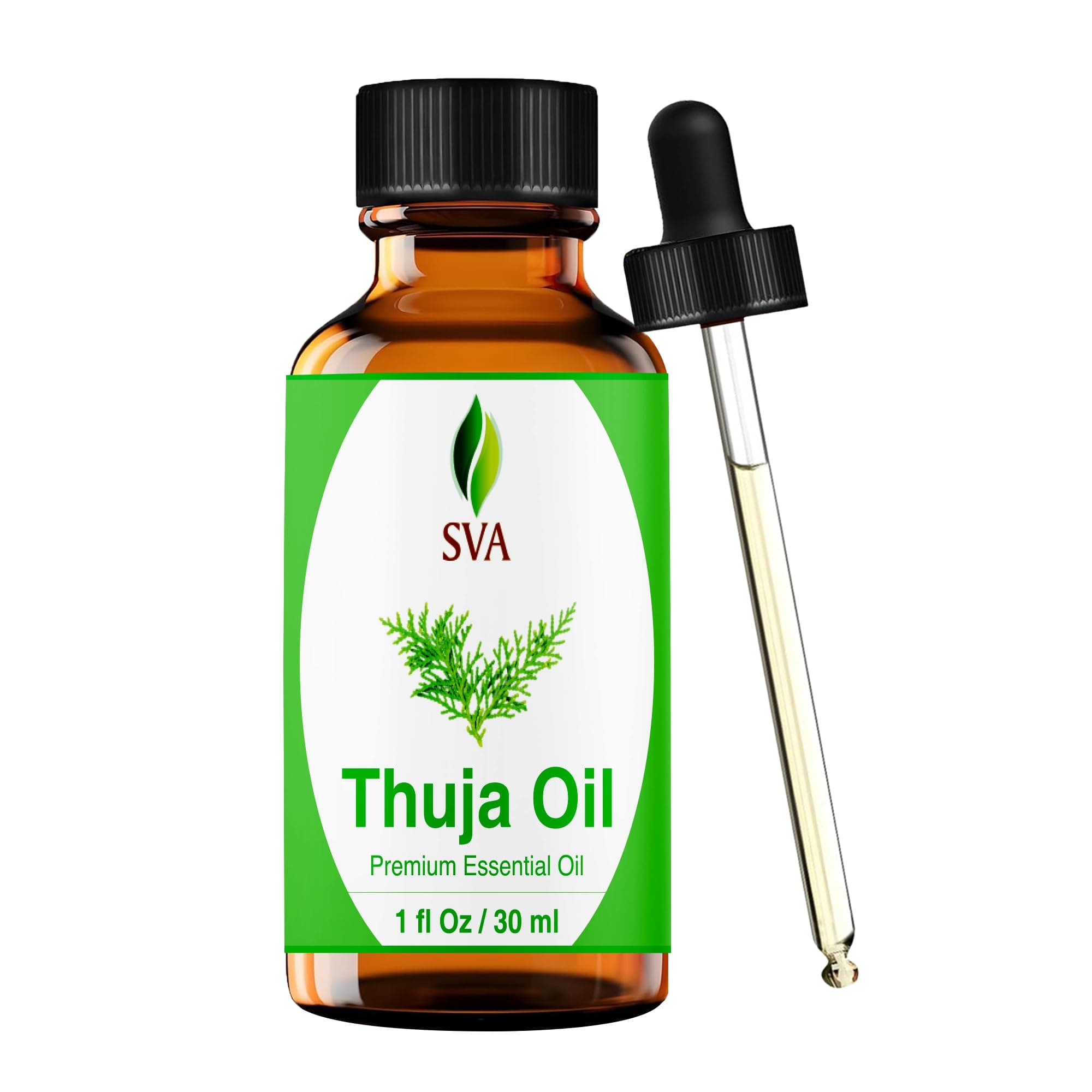 Thuja Essential Oil 1 Oz 100% Pure Natural Undiluted Premium Therapeutic Grade Oil for Aromatherapy, Diffuser, Hair Care, Skin Care, Glowing Skin