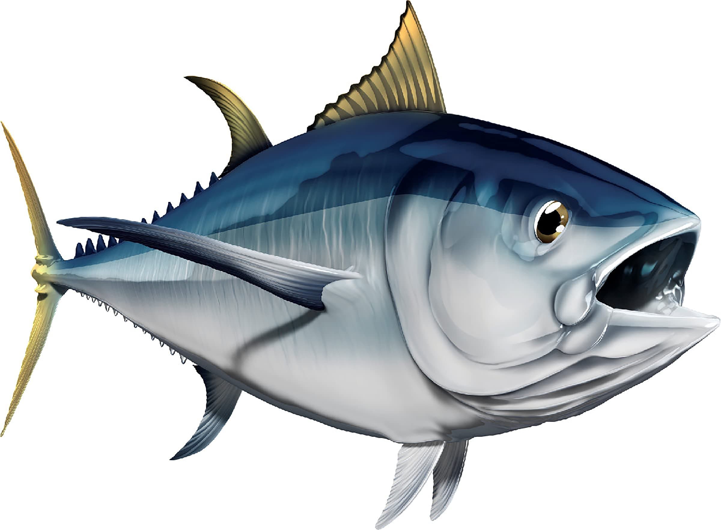 Albacore Tuna Beautiful Fish Decal | Fishing Decal for Boat, Car, Vehicle, Truck Etc. | Waterproof Vinyl Sticker | Many Sizes & Styles Available | 12" to 40" by Digital Fish Art (Small, Position 2)
