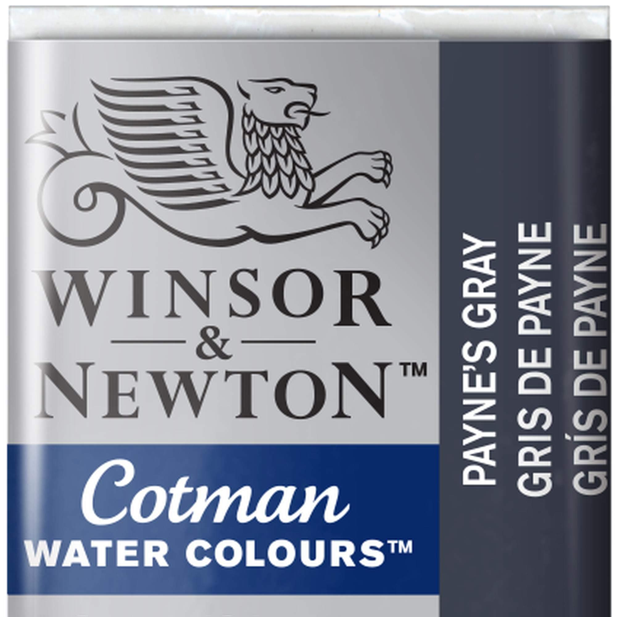 Winsor & Newton 0301696 Cotman Watercolour Paint – Payne's Grey, 1.9x1.6x1.1 cm