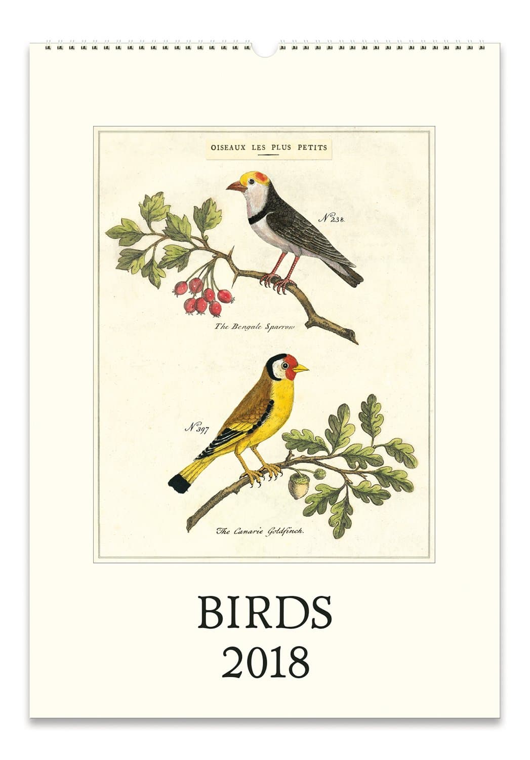 Cavallini Papers 2018 Birds Wall Calendar