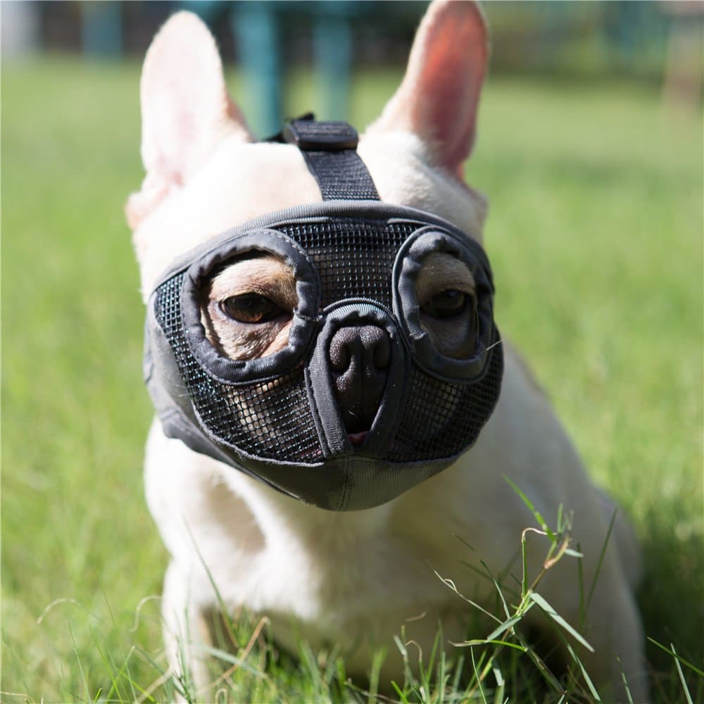 Short Snout Dog Muzzles- Bulldog Muzzle Breathable Mesh Dog Mask for Biting Chewing Training Licking Grooming (Grey, Large/15-25")
