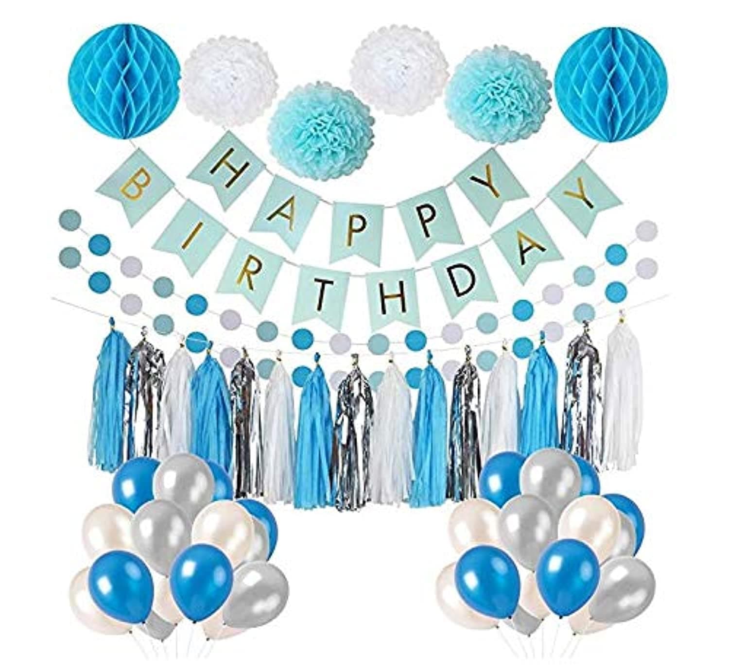 Frozen Theme White Blue Party Decorations girls Birthday Party Supplies, balloons, Pom Poms Flowers, birthday banner, paper Garland, Tassels 1st Birthday Girl Decorations Kids Birthday