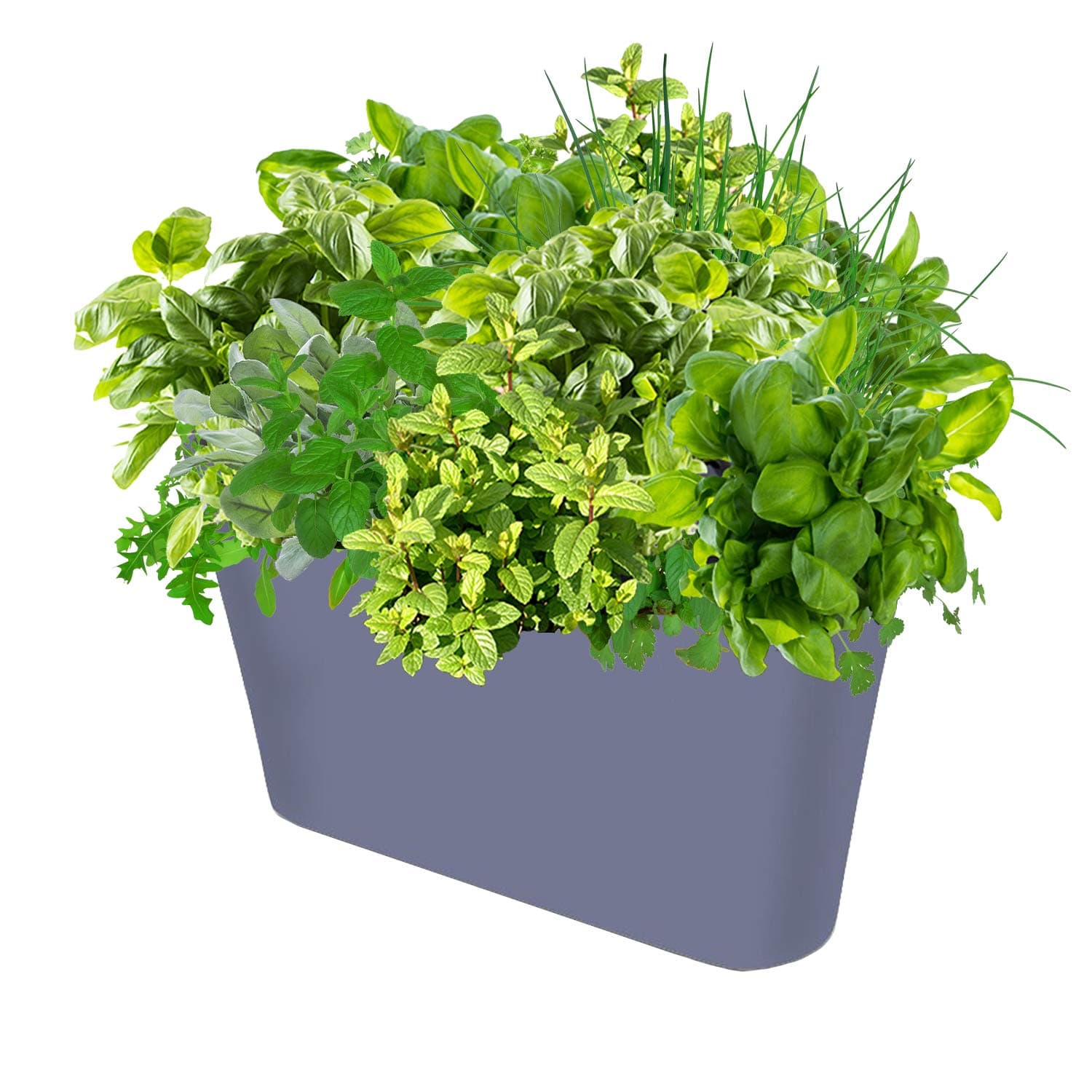 Ergo Self Watering Planter Pot - Indoors, Outdoors Planters Box, Modern Dark Silver Rectangular Plant Container for Windowsill - Grow Flowers, Herbs Easily, by SavvyGrow (Dark Silver)