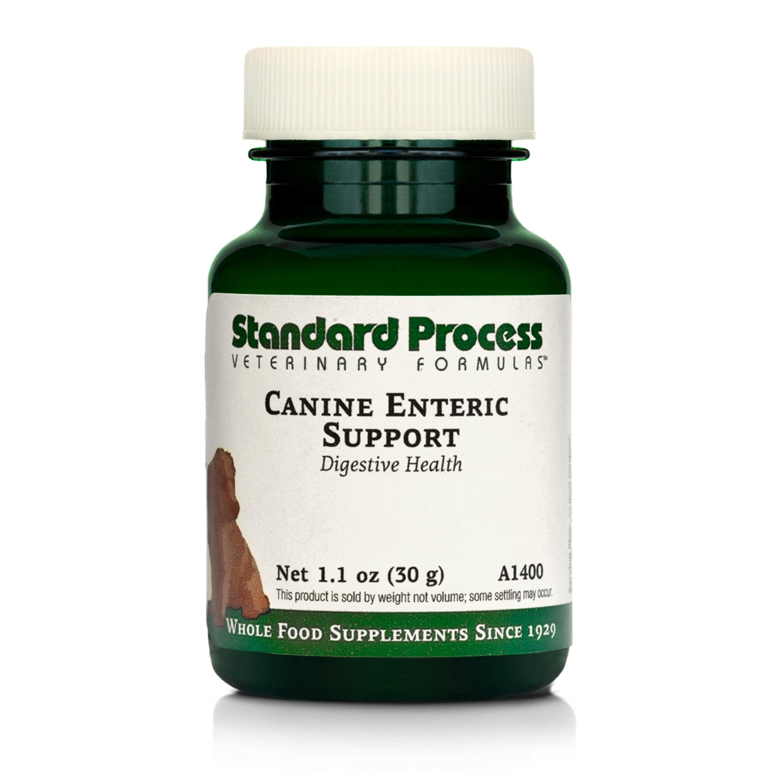 Canine Enteric Support 30 Grams by Standard Process