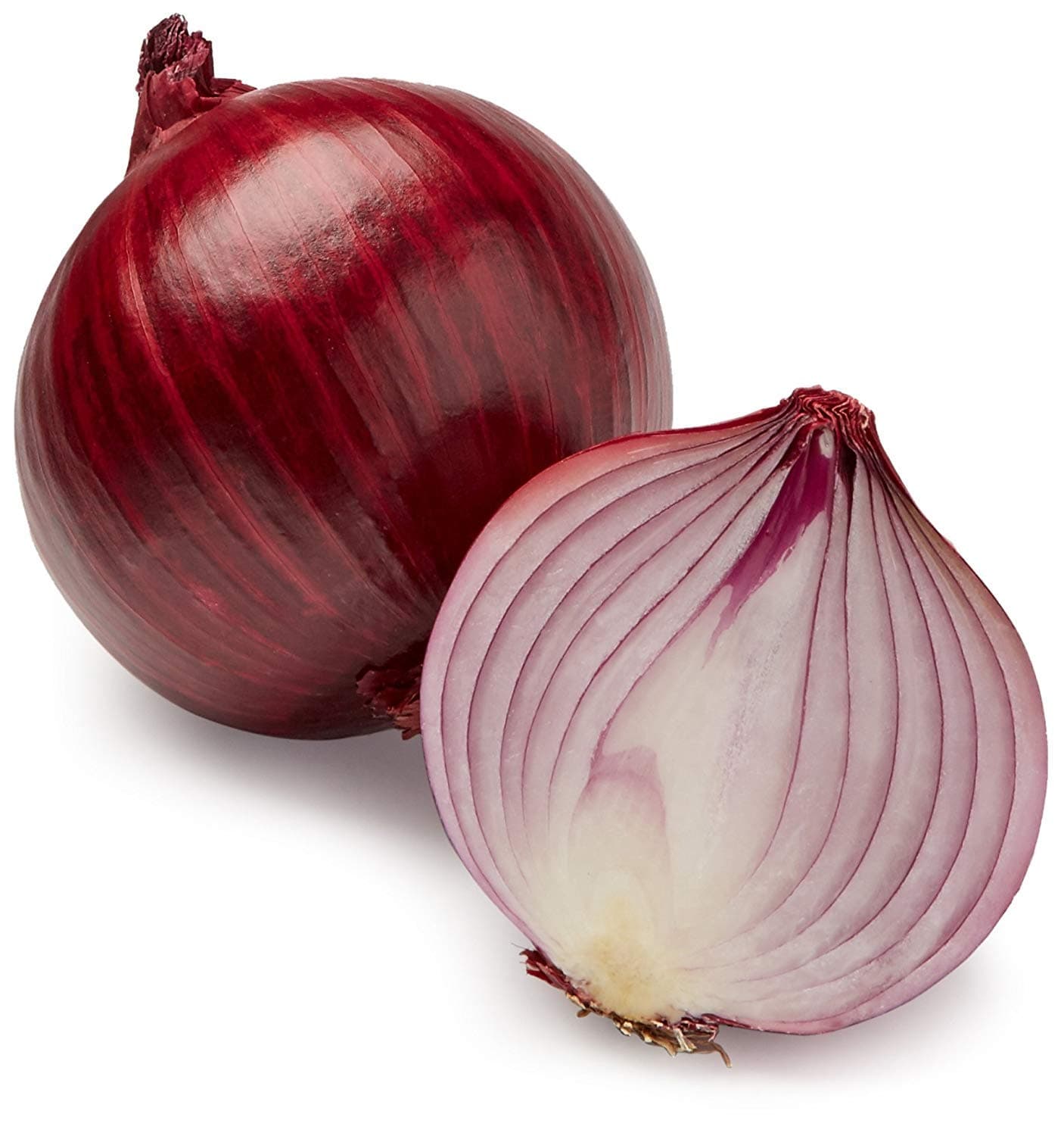 Audbhidhi Onion Seeds For Planting Gardening Pack of 50 Seeds