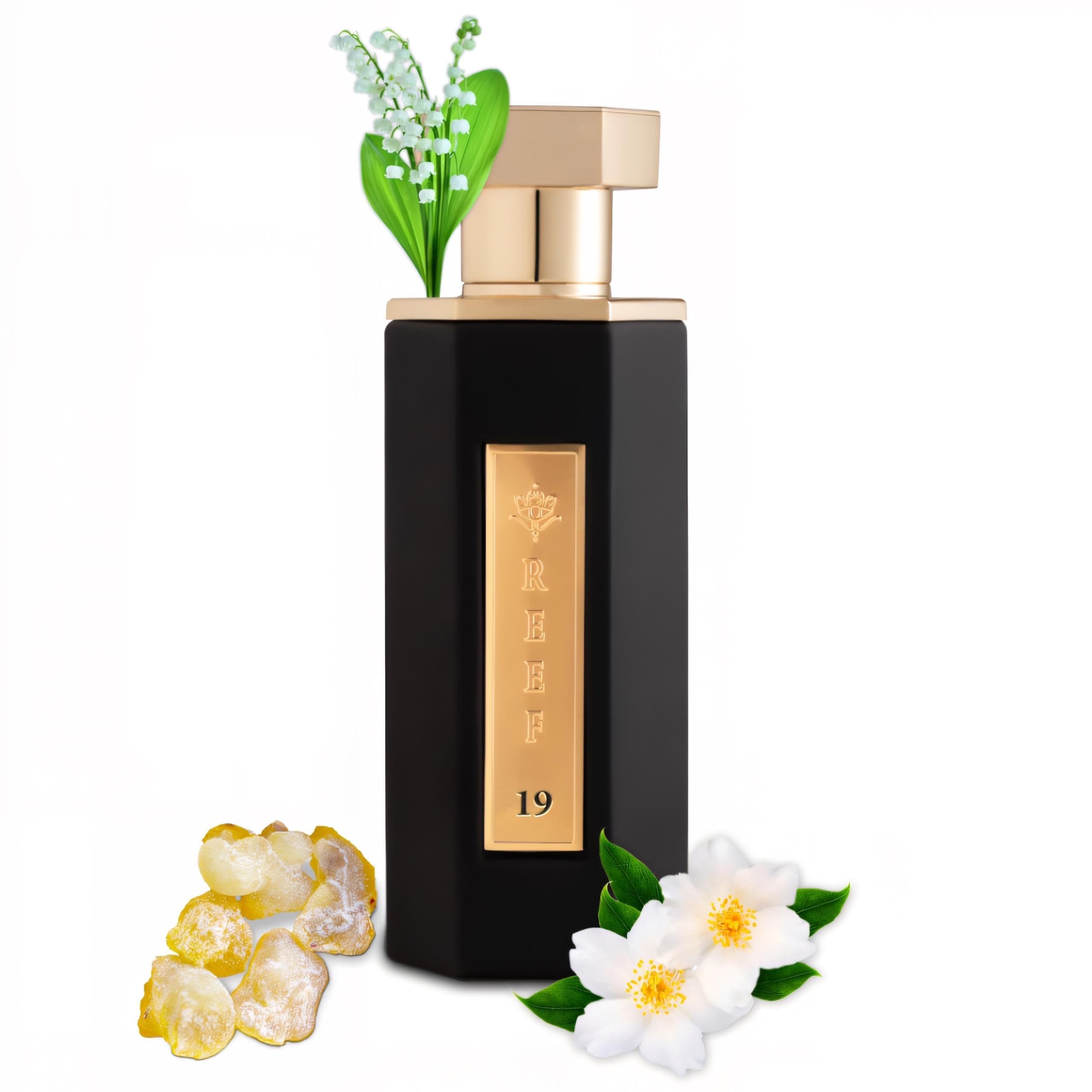 Perfume 19 - Eau De Parfum for Men and Women | 100 ML Unisex Long Lasting Fragrance