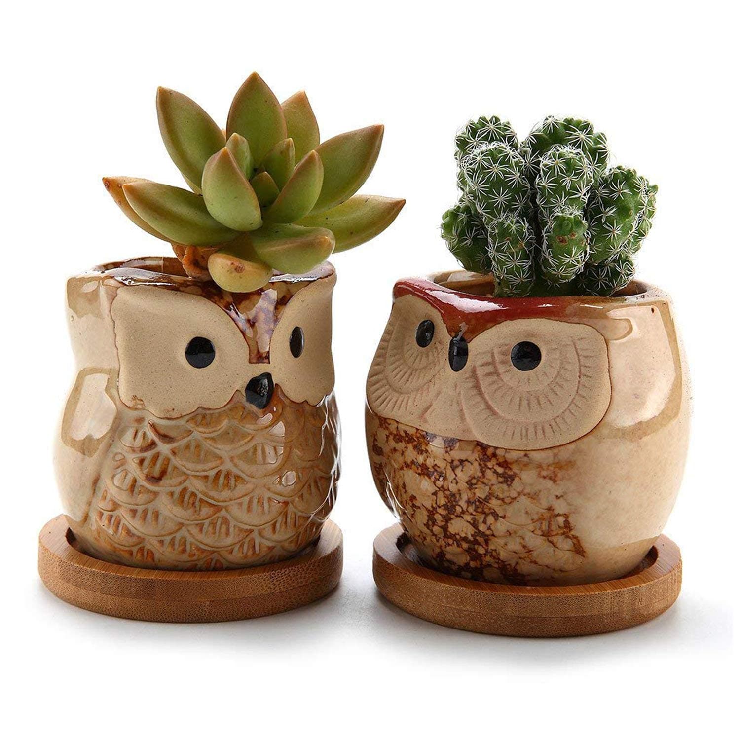 T4U 6.5CM Ceramic Owl Succulent Cactus Planter Pot Set with Bamboo Tray - Glaze Brown, Pack of 2, Home Office Decoration Desktop Windowsill Bonsai Pots Gift for Gardener Wedding Birthday Christmas