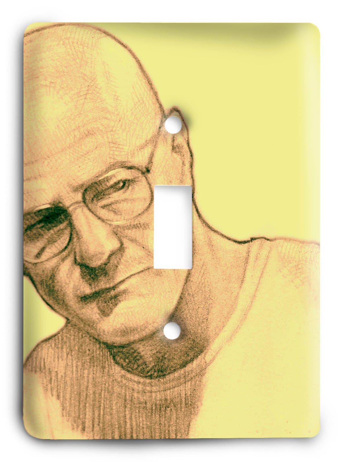 Breaking Bad G3 6_1 Light Switch Cover