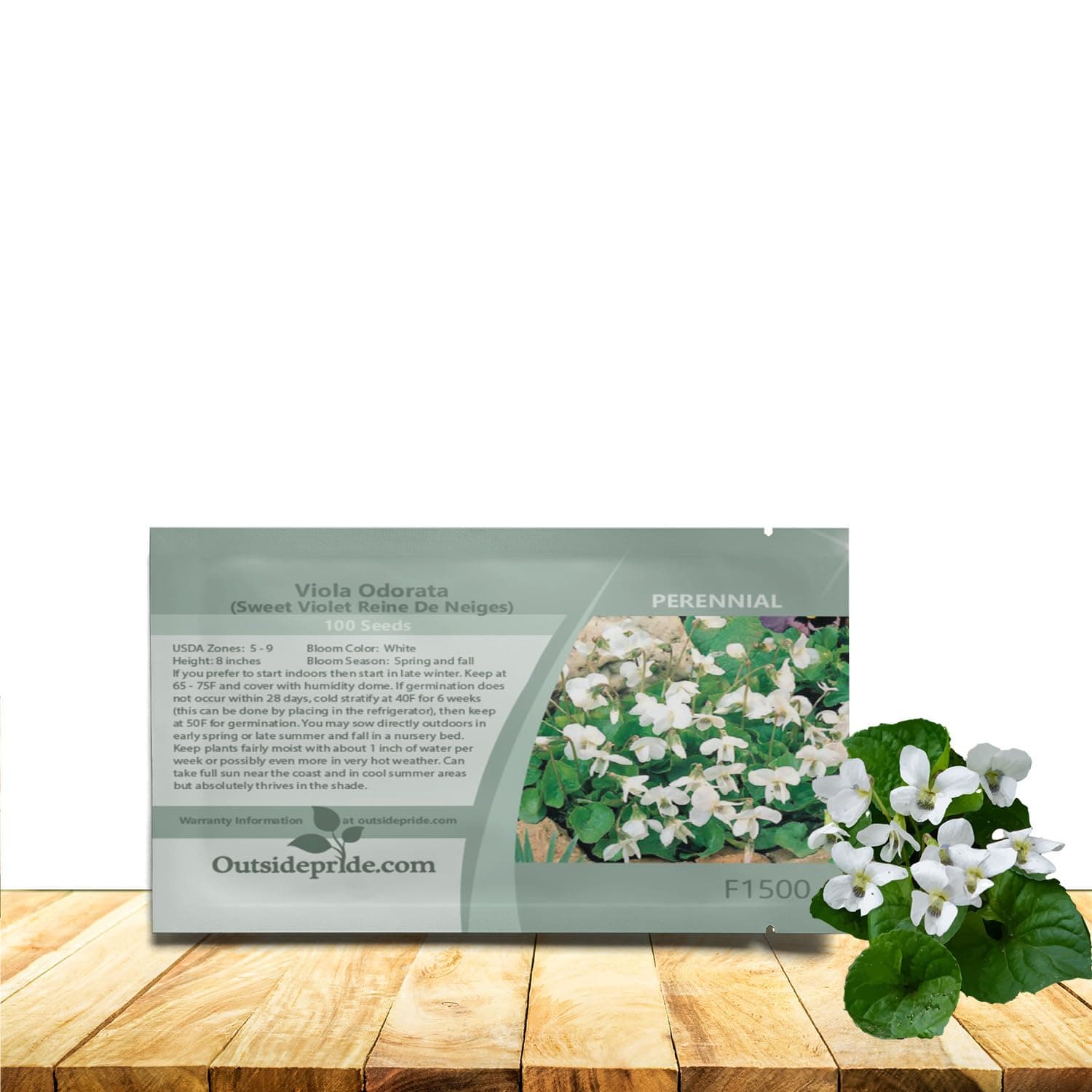 Outsidepride Reine De Neiges Sweet Violet Seeds for Planting - 100 Pcs Perennial, Compact & Pollinator Friendly Viola Flower Seeds with White Blooms, Ideal for Garden Borders & Container Displays