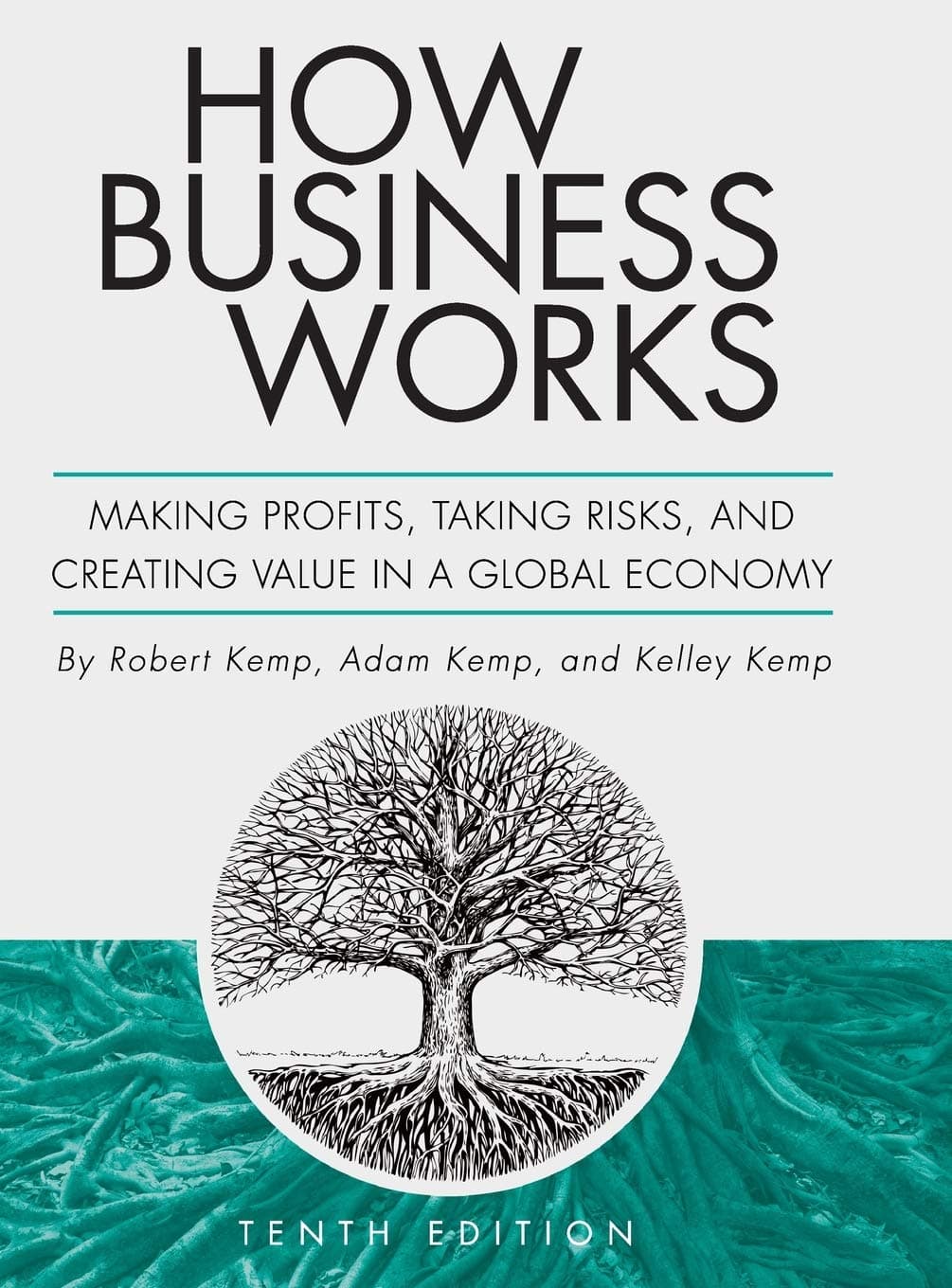 How Business Works: Making Profits, Taking Risks, and Creating Value in a Global Economy Hardcover