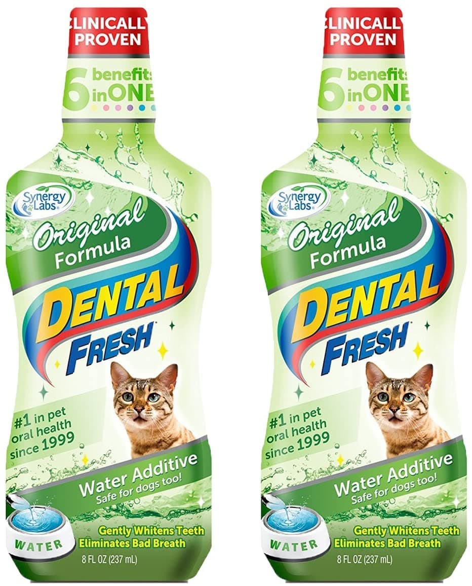 Syn Dental Fresh Dog 8 Oz (Pack of 2)