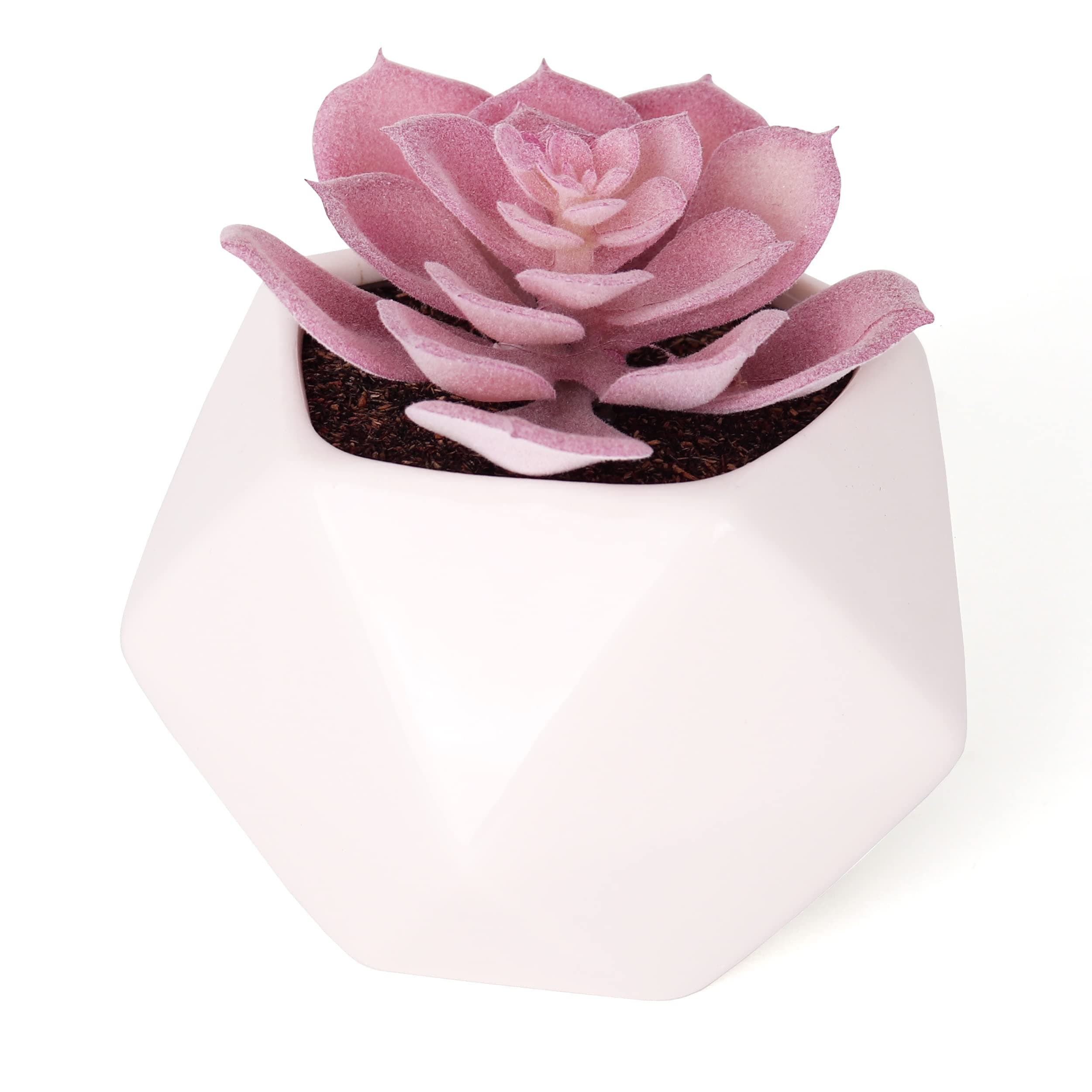 Artificial Succulent - Fake Succulent in Planter - Faux Succulent with Ceramic Geometric Planter - Echeveria Succulent - Artificial Potted Plant (Single)