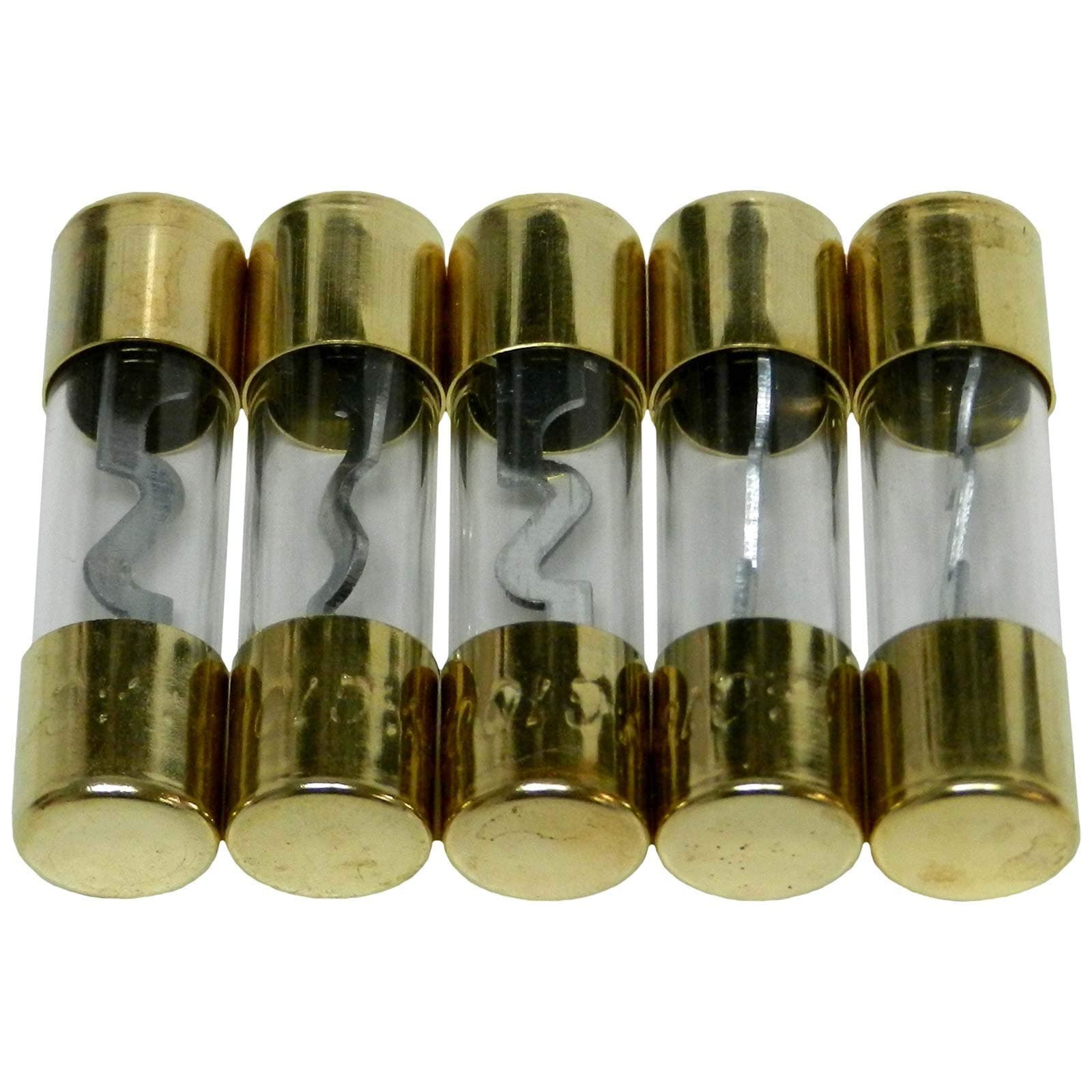 Bass Rockers 5 Gold Plated AGU Fuses 100A - AGU100A