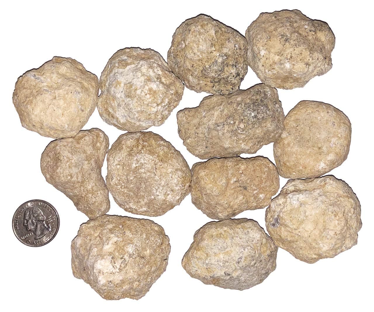 12 Bulk Break Your Own Geodes - Discover Crystals Inside!