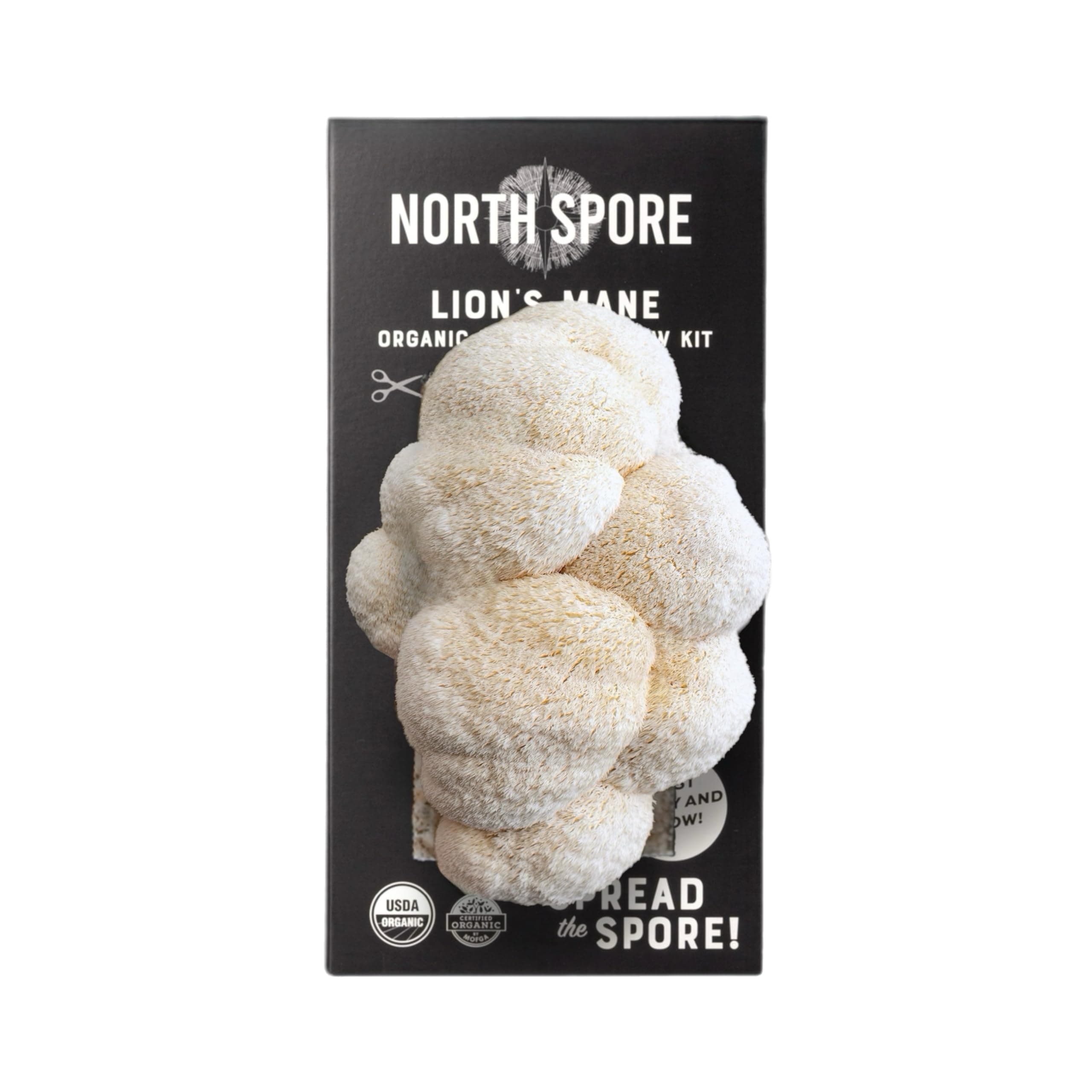 North Spore Organic Lion's Mane Mushroom Spray & Grow Kit (4 lbs) | USDA Certified Organic, Non-GMO, Beginner Friendly & Easy to Use | Grow Your Mushrooms at Home | Handmade in Maine, USA
