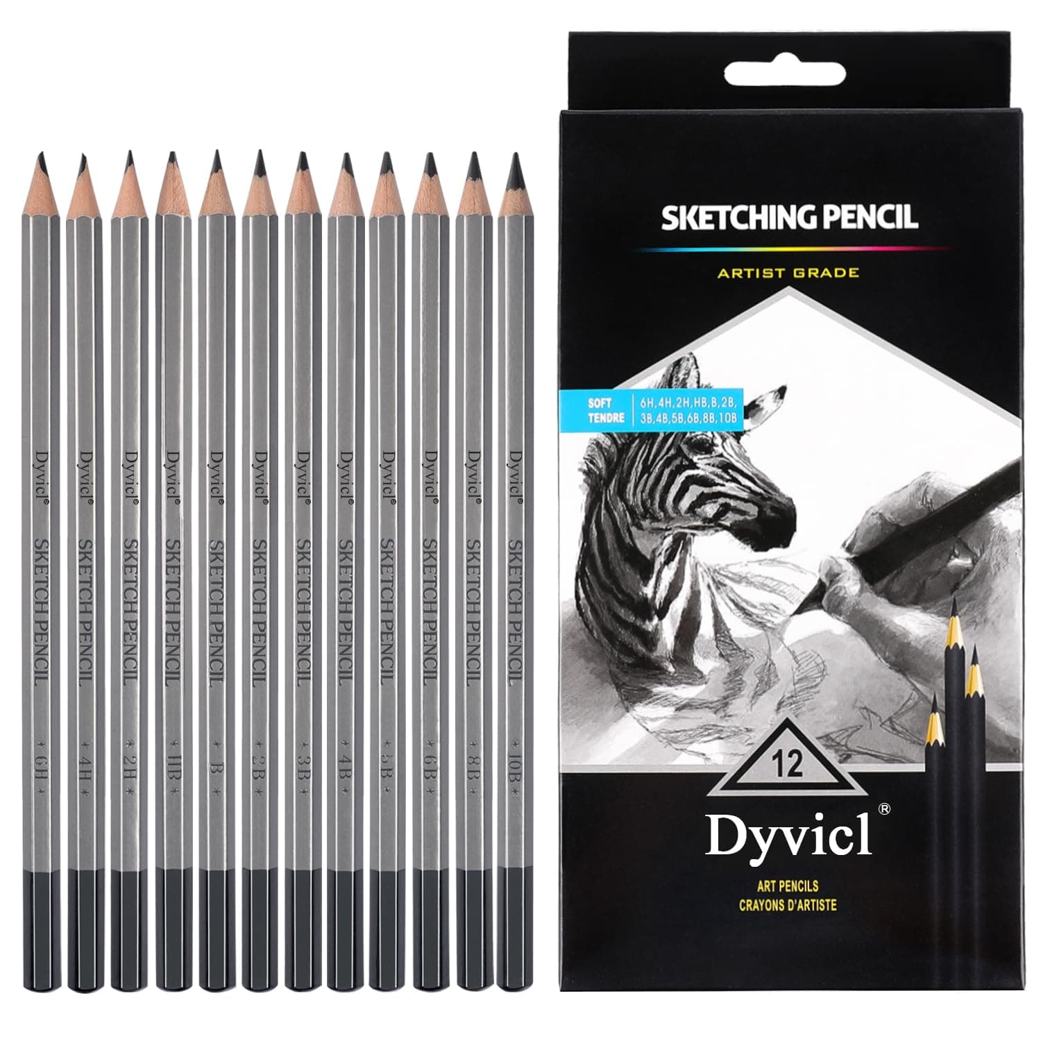 Dyvicl Professional Drawing Sketching Pencil Set - 12 Pieces Drawing Pencils 10B, 8B, 6B, 5B, 4B, 3B, 2B, B, HB, 2H, 4H, 6H Graphite Pencils for Kids, Beginners, Pro Artists