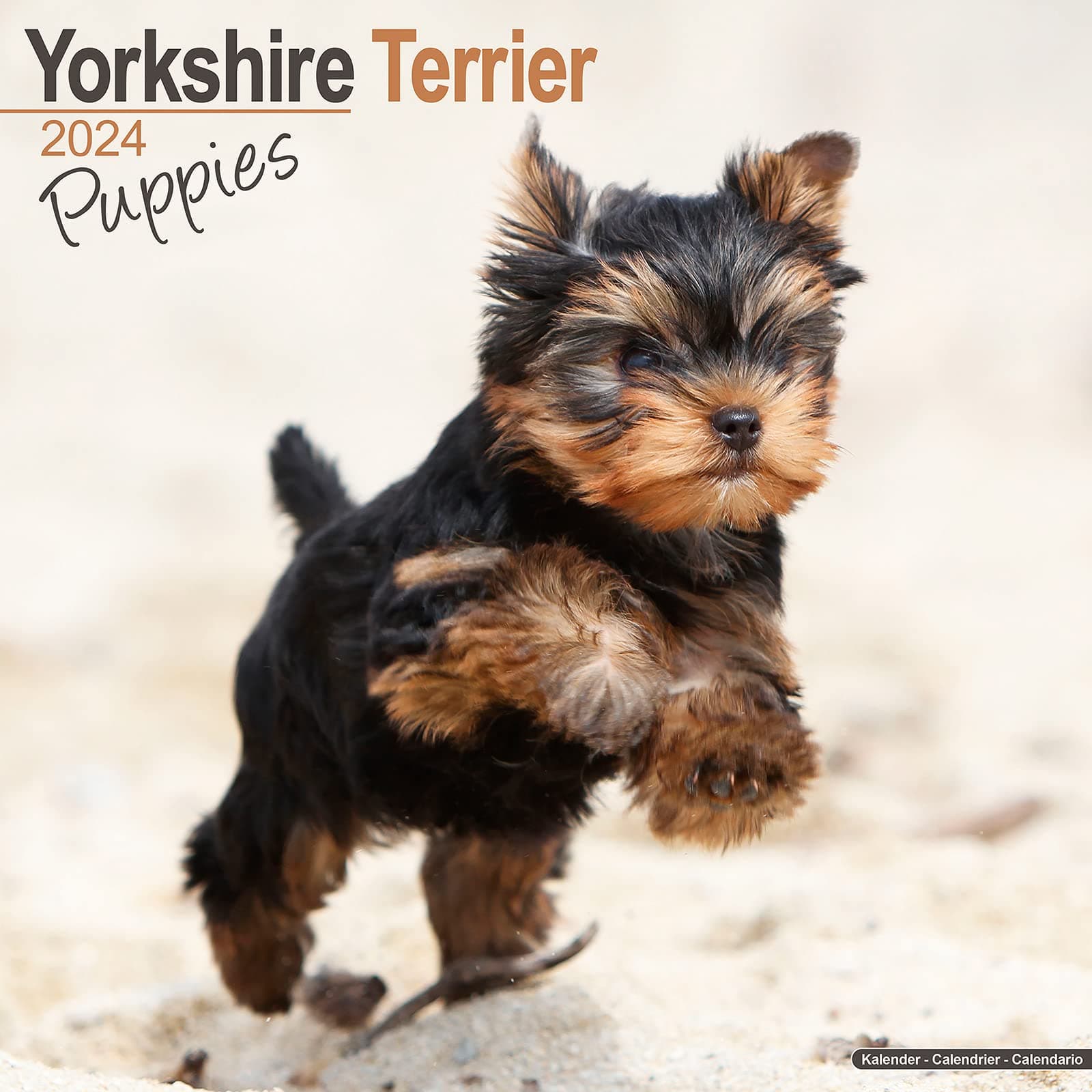 Yorkshire Terrier Puppies Calendar - Yorkie - Yorky - Dog Breed Calendars - 2023 - 2024 wall calendars - 16 Month by Avonside