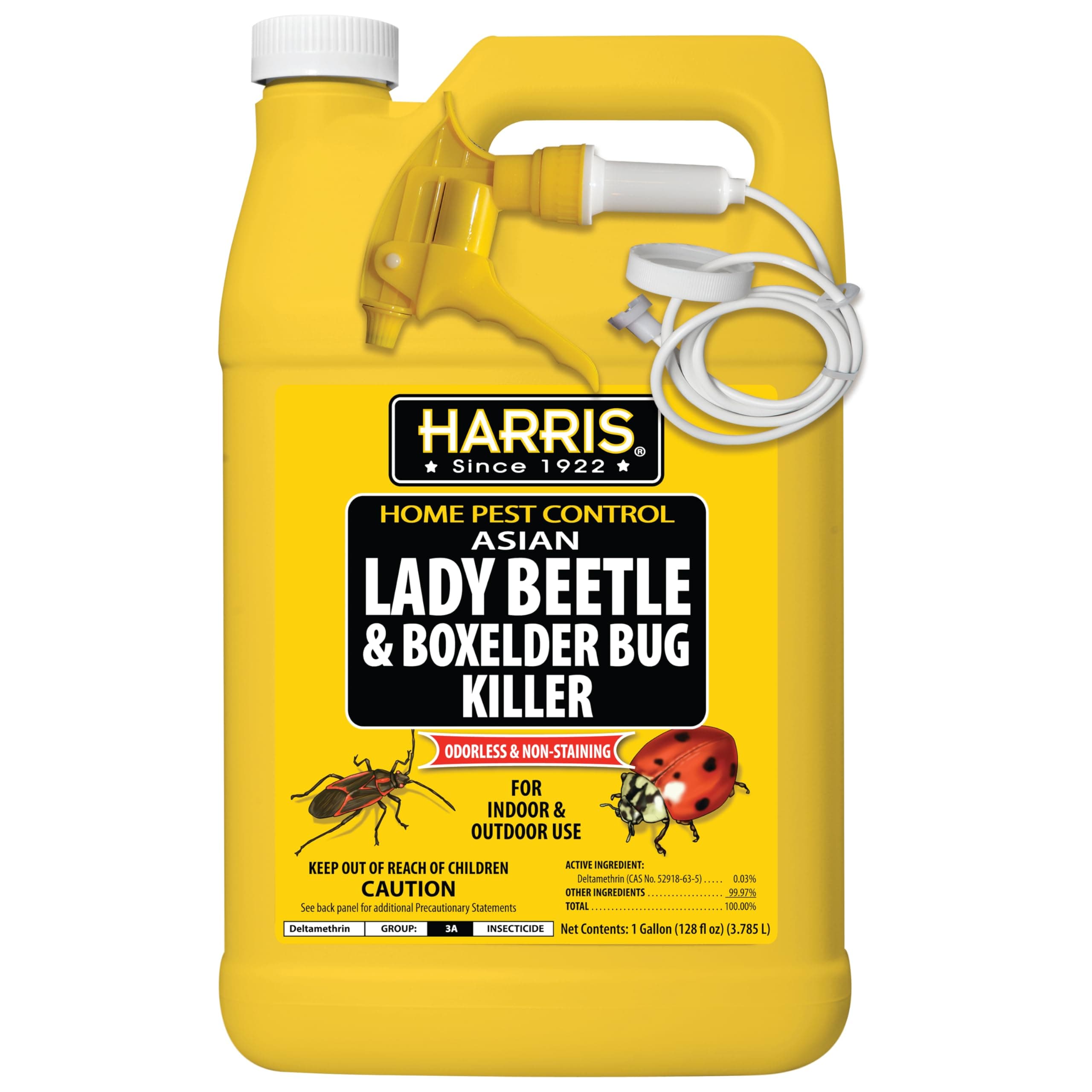 Harris Asian Lady Beetle, Japanese Beetle, and Box Elder Killer, Liquid Spray with Odorless and Non-Staining Extended Residual Kill Formula (Gallon)