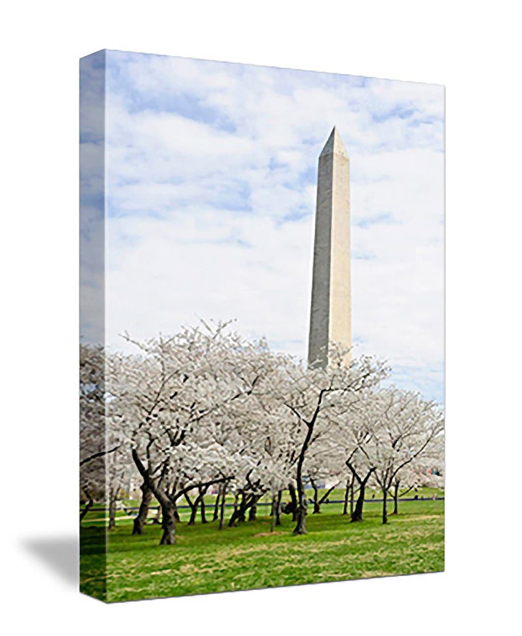 WASHINGTON MONUMENT AT CHERRY BLOSSOMS TIME gallery-wrapped giclee canvas print / canvas art - from the Ambassador Eckert "Images of Our World" collection