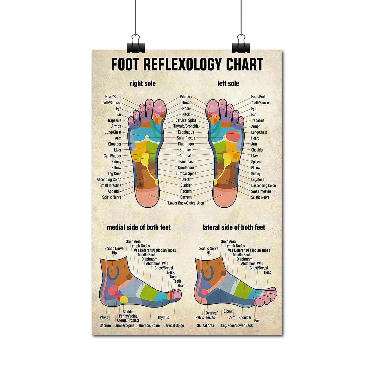 FLFGIDD Wall Art Foot Reflexology Chart Poster Massage Therapist Knowledge Home Office Decorations Decor (12x18 inch)