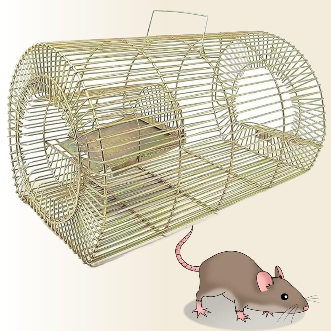 RATOPOLIS Rat Trap Cage | Large Size | Mouse & Rat | Rust-Resistant | Brown | 22L x 10W x 10H cm | Humane Pest Control