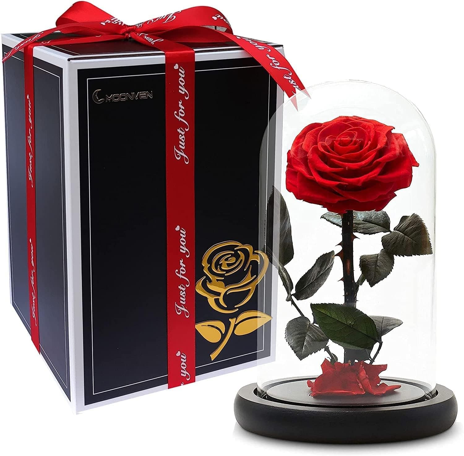 Moonmen Handmade Preserved Rose Forever Never Withered Flowers,Valentine's Gift for Wedding,Anniversary,Birthday, Mother's Day Gift, Best Gift for Her Rose (Red)