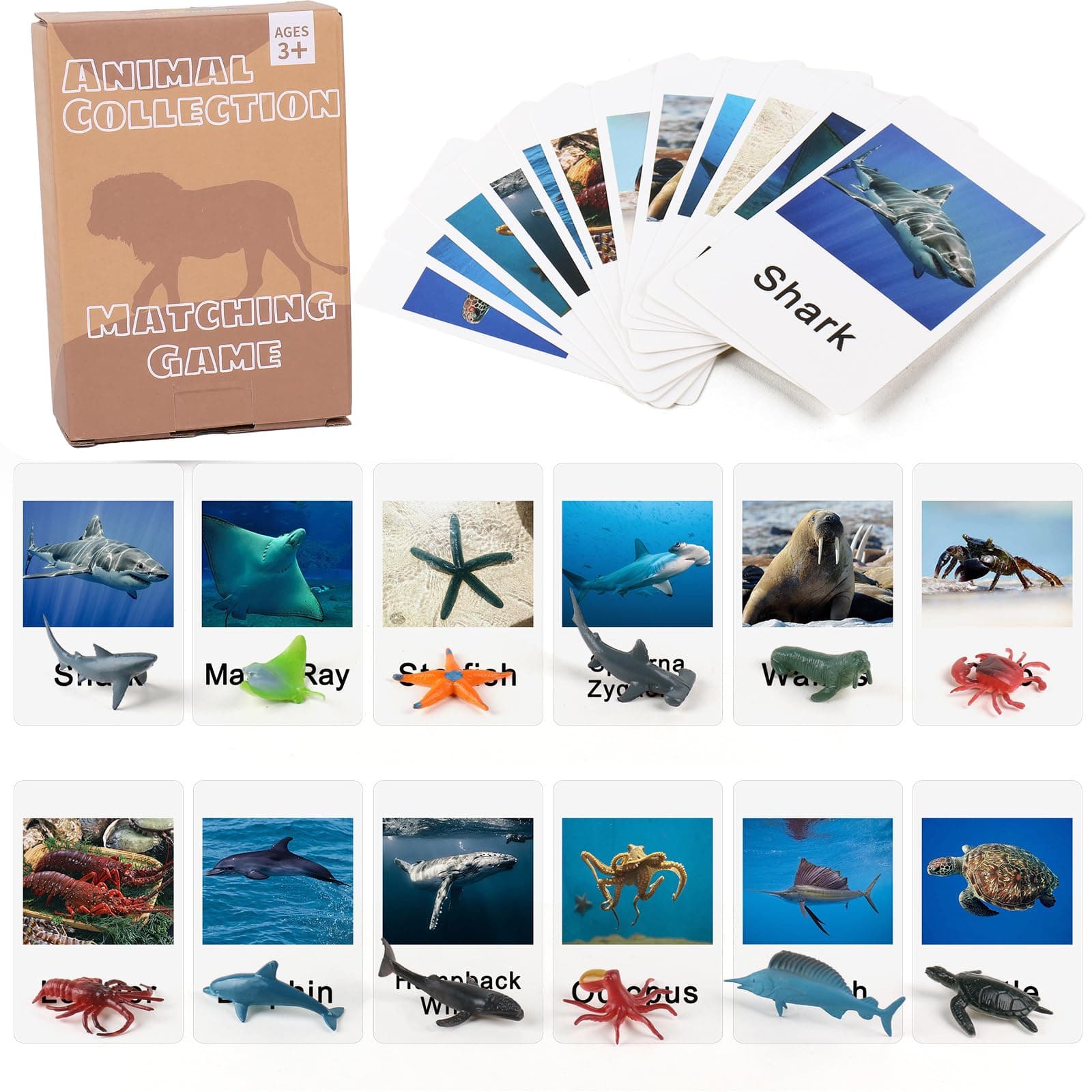 Montessori Animal Match Game Cards Marine Animal Matching Montessori Language Materials Toddlers Preschool Educational Learning Toys NEWT011