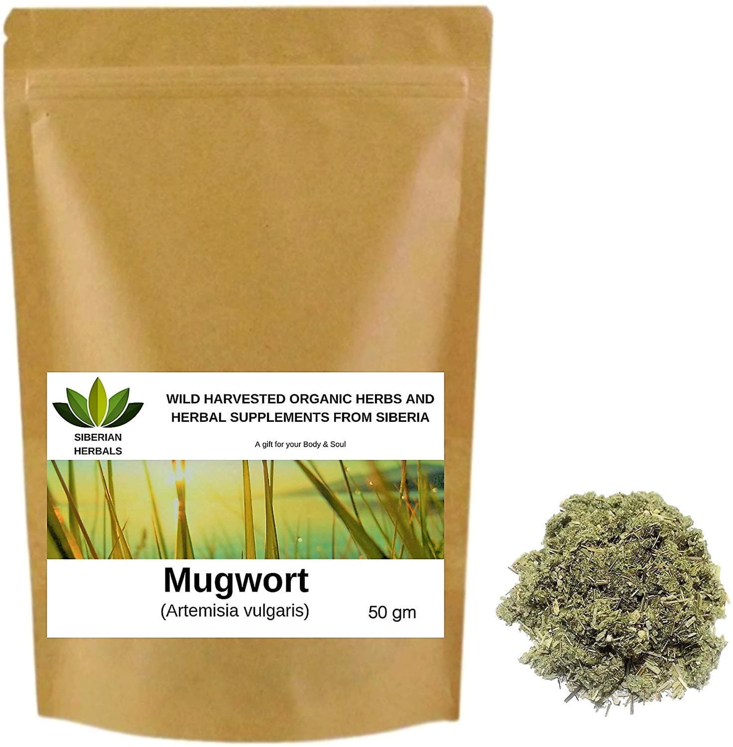 Mugwort (Artemisia vulgaris) Wild Harvested Organic ПОЛЫНЬ ОБЫКНОВЕННАЯ from Altai Mountains, Siberia, Russia. (50 gm)