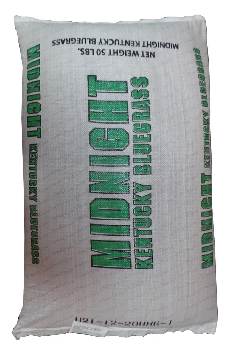 SeedRanch Midnight Kentucky Bluegrass Seed (Certified) - 20 Lbs. by SeedRanch Bluegrass