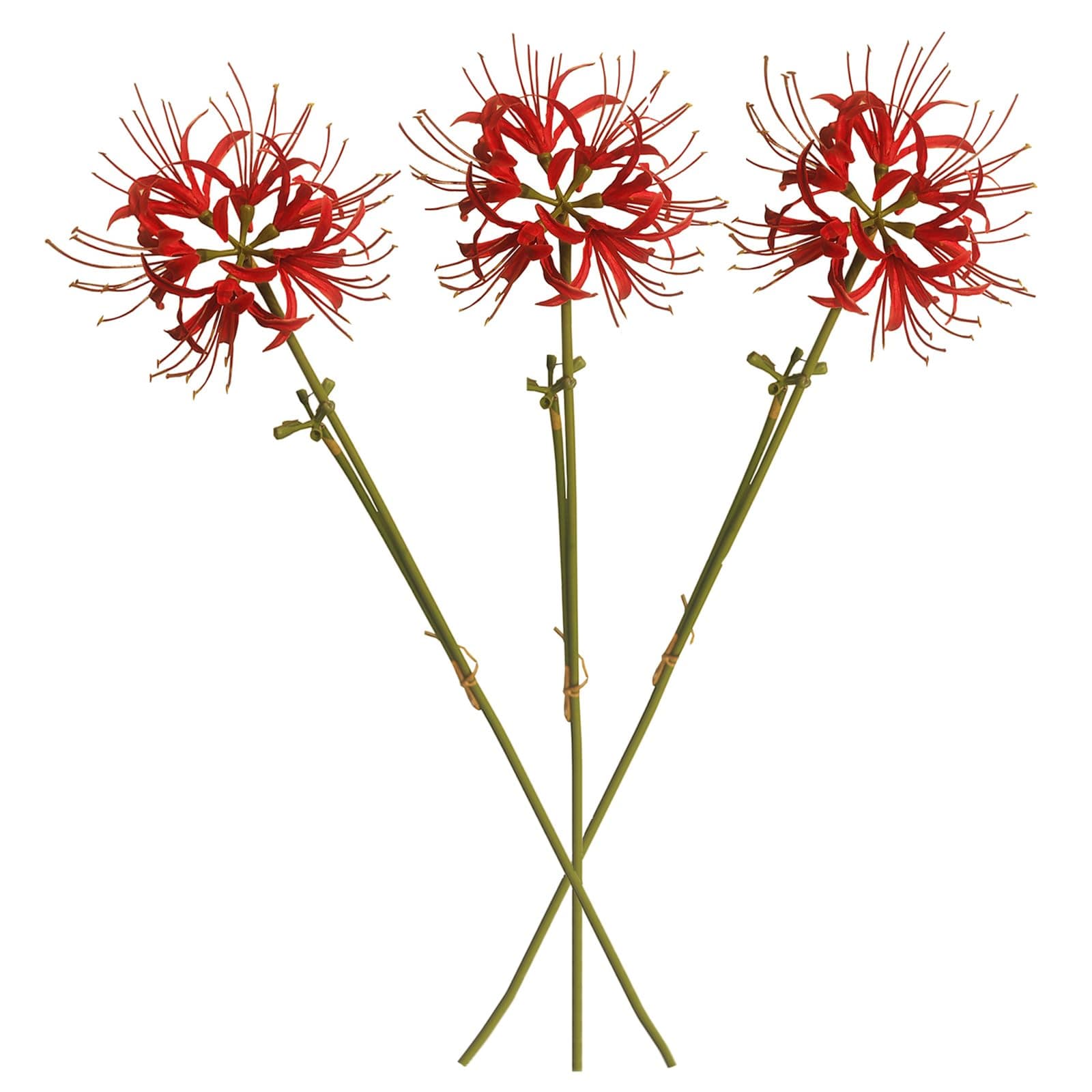 Calcifer 3 Stems Red Spider Lilies Artificial Flowers Lycoris Bulbs (Red)