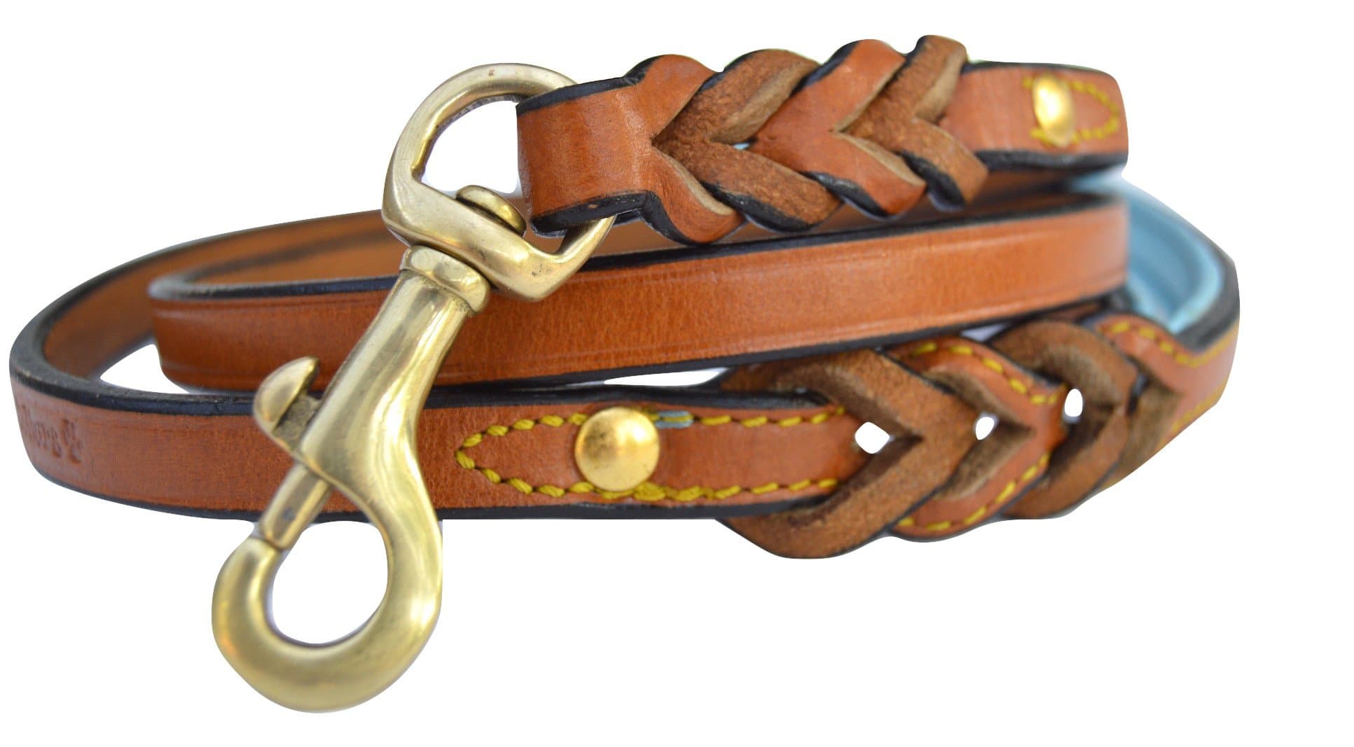 Leather Braided Dog Leash, Tan with Teal Padded Handle, 4ft Long x 1/2 Inch Wide, for Small Dogs