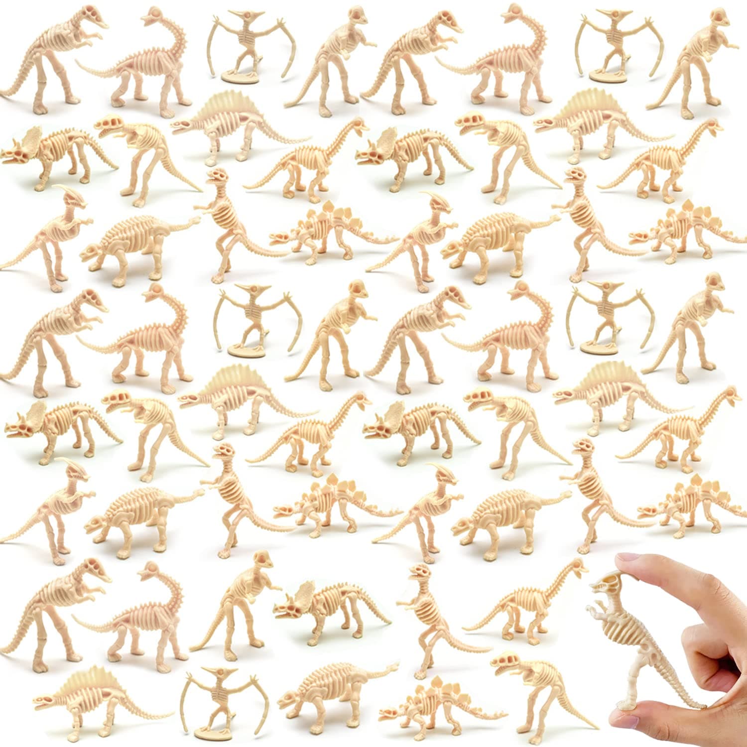 Qiuttnqn 60 Pack Dinosaur Fossil Skeletons,Figures Dino Bones,Dinosaur Skeleton Toys for Dino Sand Dig,Science Play,Party Favor,12 Styles