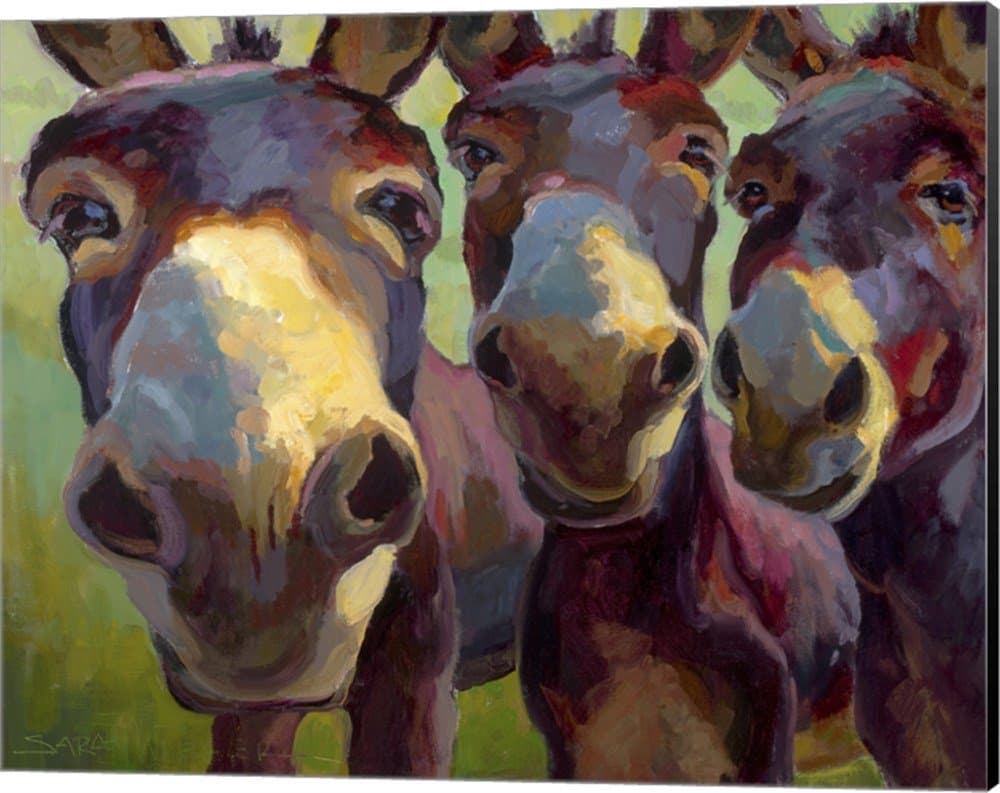 Kiss Me by Sarah Webber Canvas Art Wall Picture, Museum Wrapped with Black Sides, 20 x 16 inches