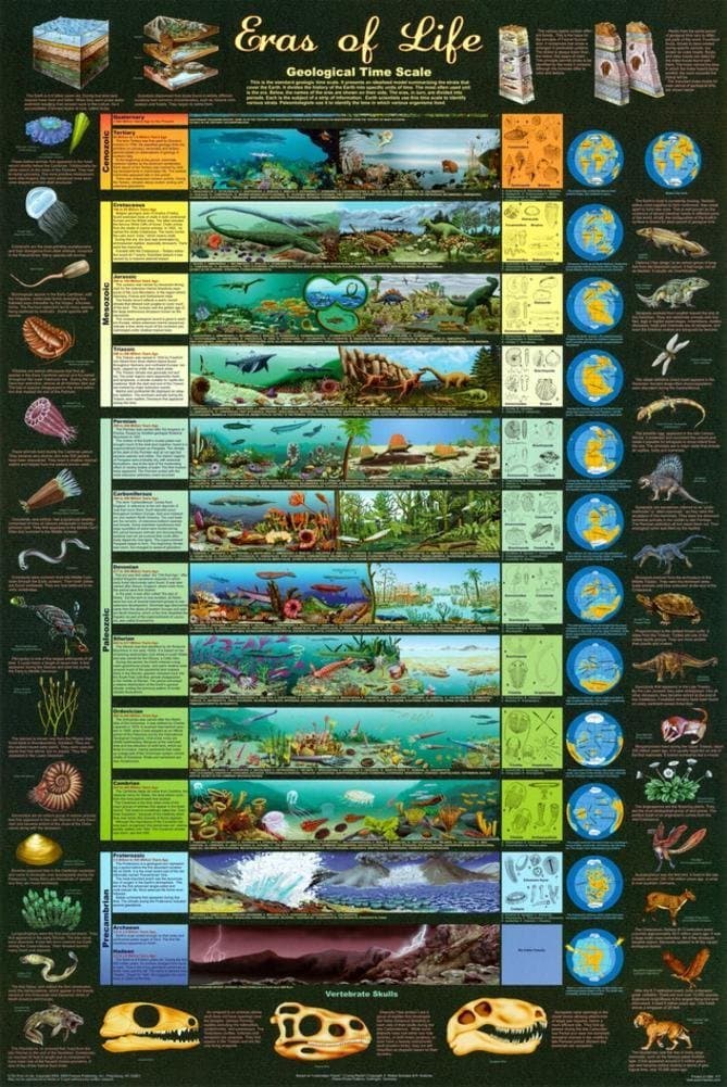 Eras of Life Geological Time Scale Educational Science Chart Poster 24 x 36