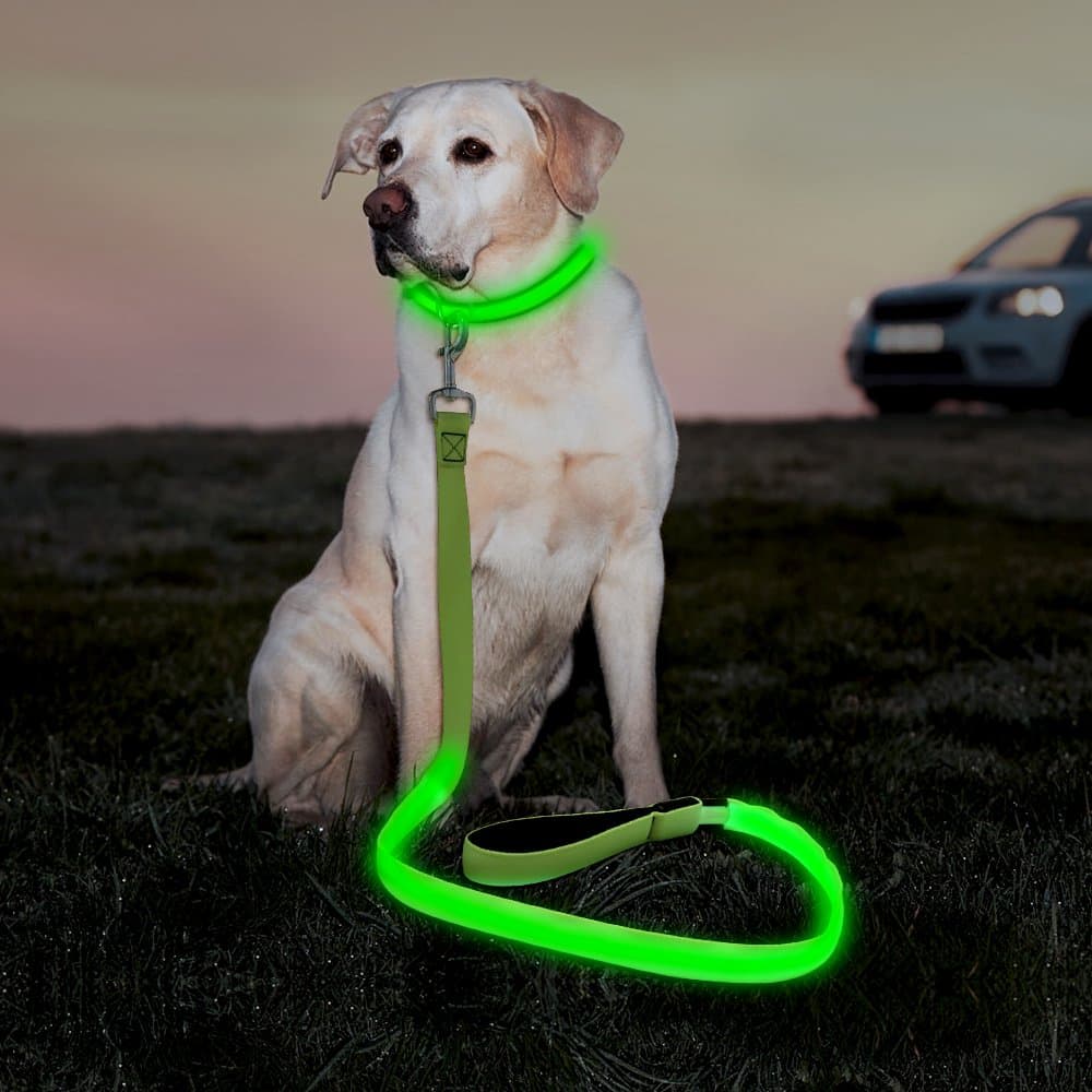 Illumifun LED Dog Leash, USB Rechargeable Pet Leash Glow in The Dark, 47.2inch Nylon Light Dog Leash for Your Dog Walking at Night (Green Ⅰ)