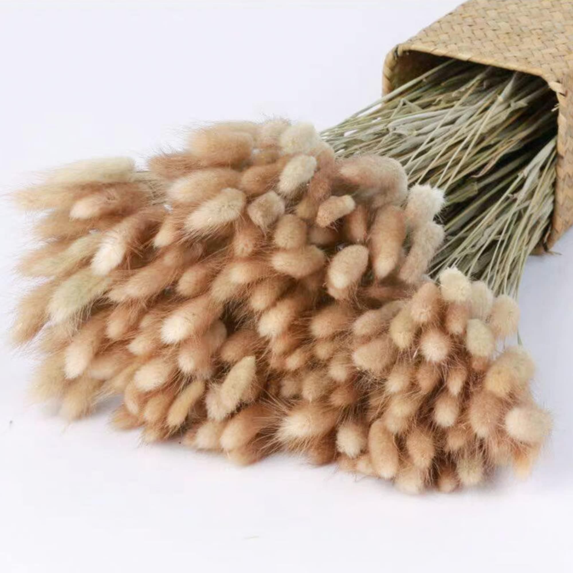 Donghome 120pcs 17" Bunny Tails Dried Flowers Brown Pampas Grass Natural Rabbit Tail Grass Dry Floral Arrangement for Boho Wedding Decor,Baby Birthday Party