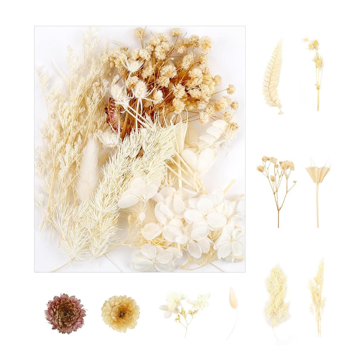 Decorative Artificial Dried Flowers - Natural Everlasting Floral Bundle(Style A)