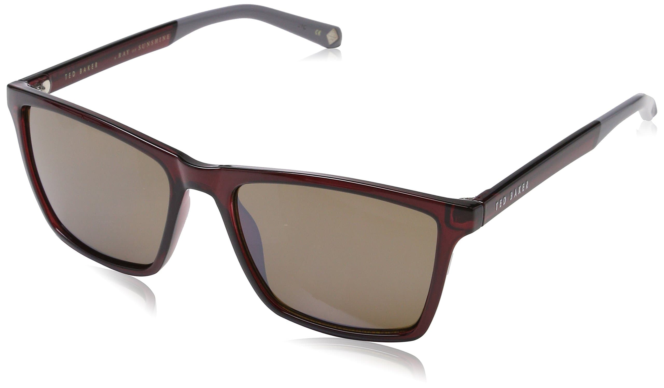 Ted Baker Men's Wade Sunglasses
